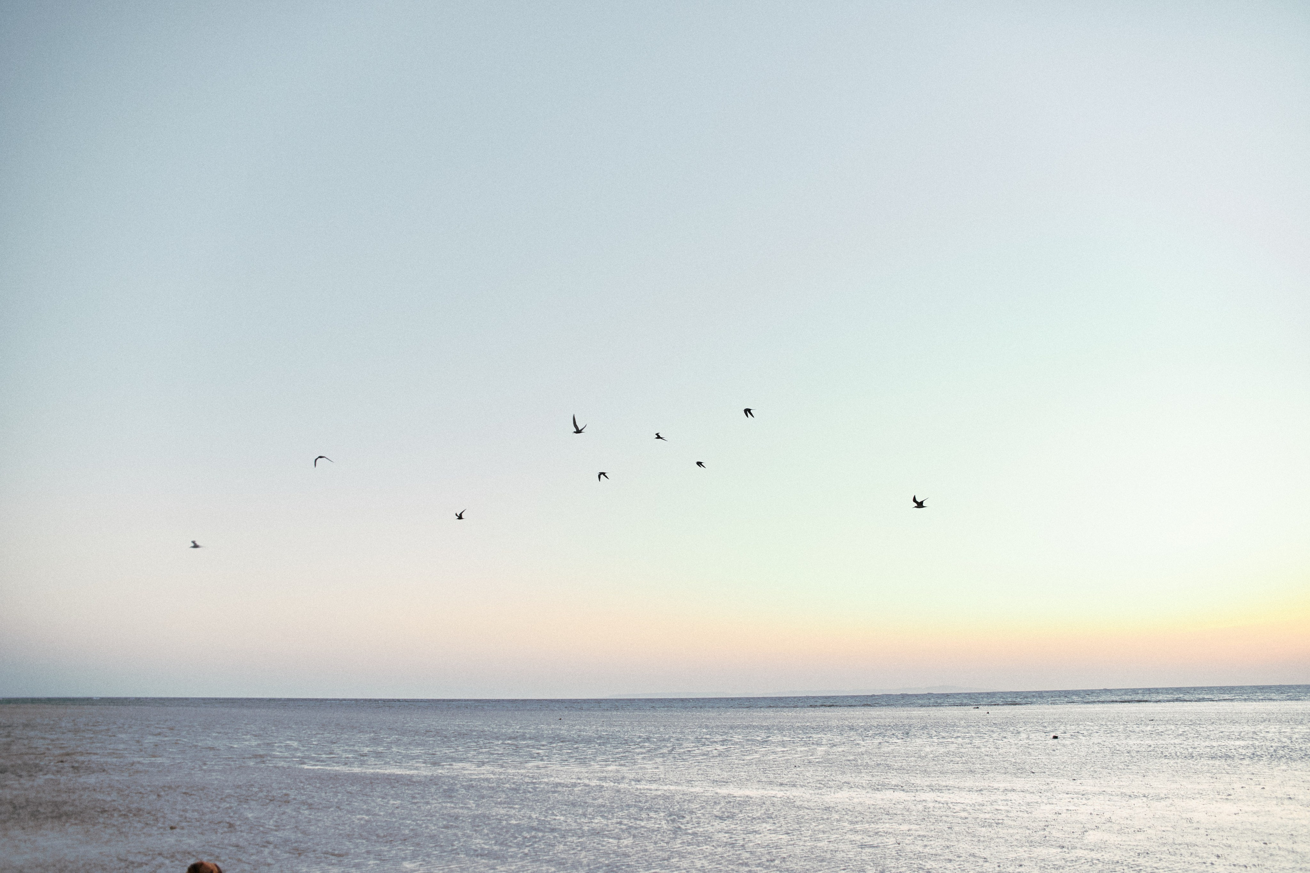 Улица горизонтальная. Jorgis — фотограф в Хургаде / обучение фотографии