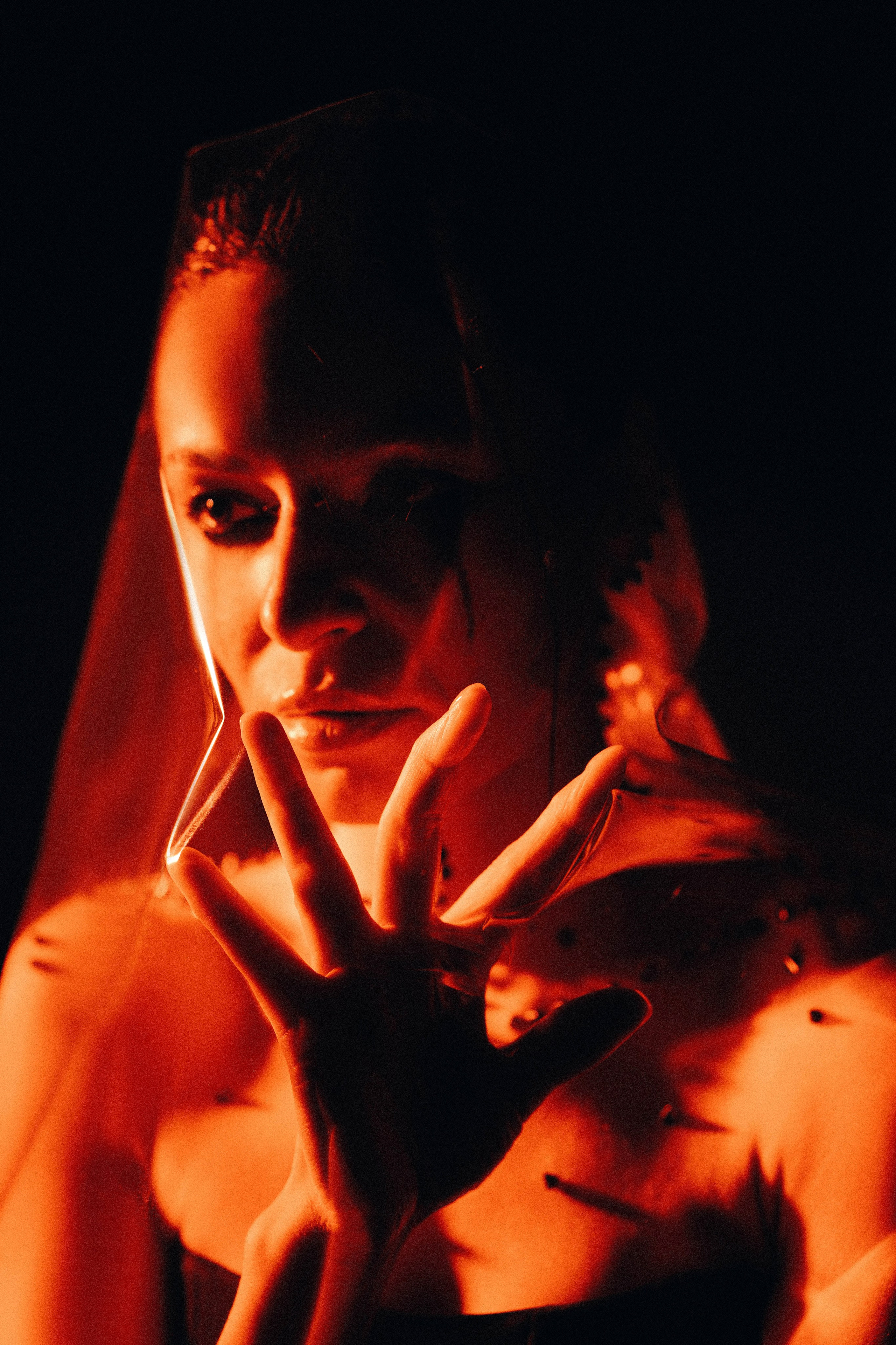 Rose with thorns. Ксения Копна. Фотограф из Санкт-Петербурга