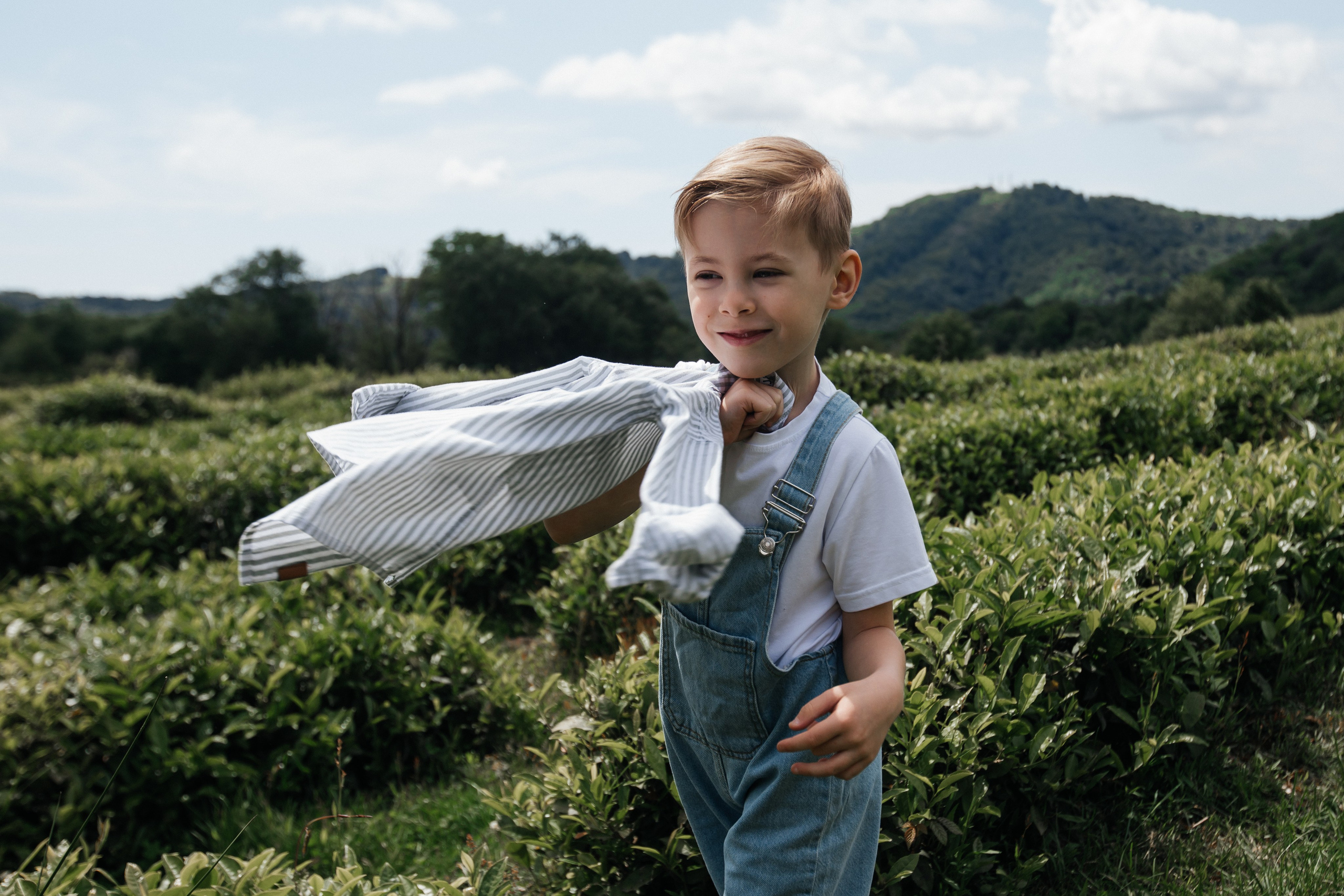 Tea plantation. Efimova Model Agency