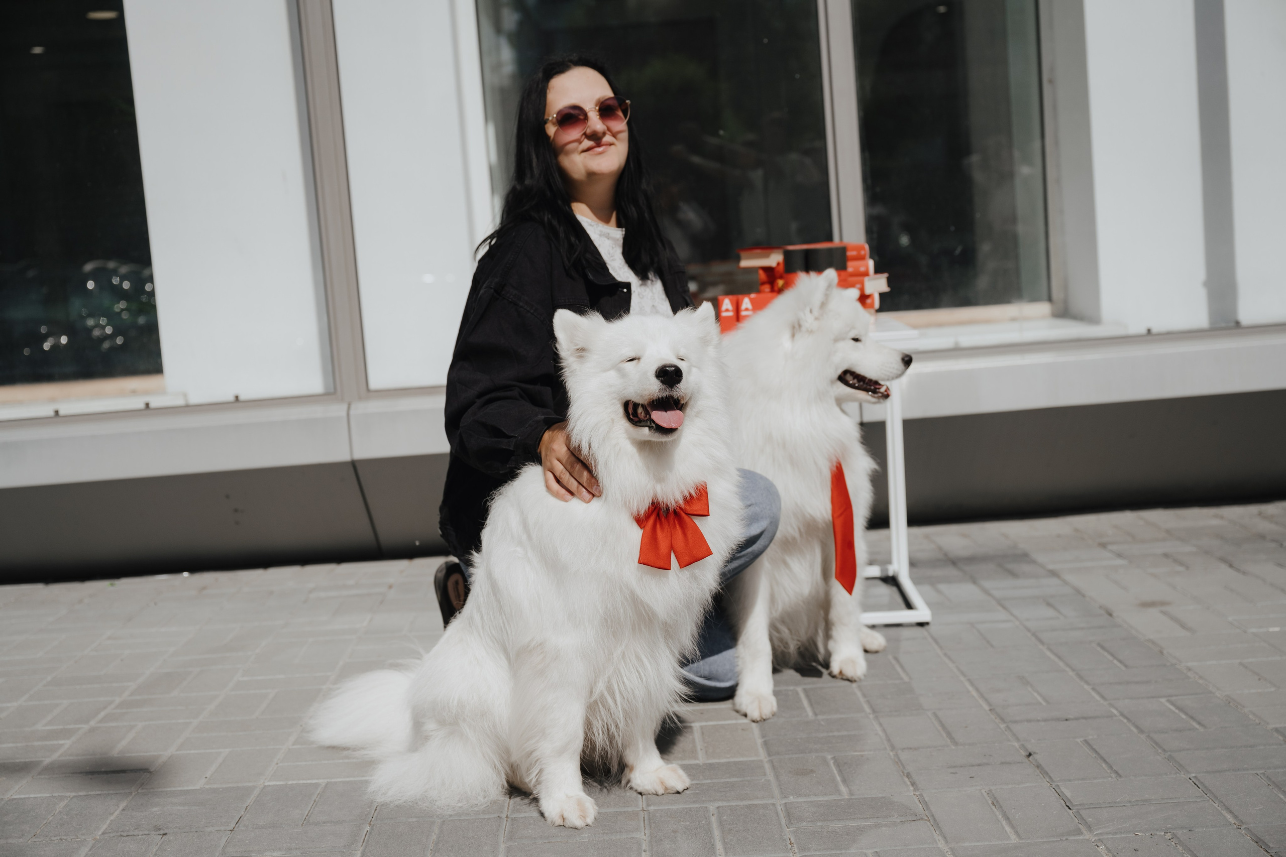 Альфа банк Карла Маркса 55. Фотограф Кристина Тумаева. Самоед Новосибирск