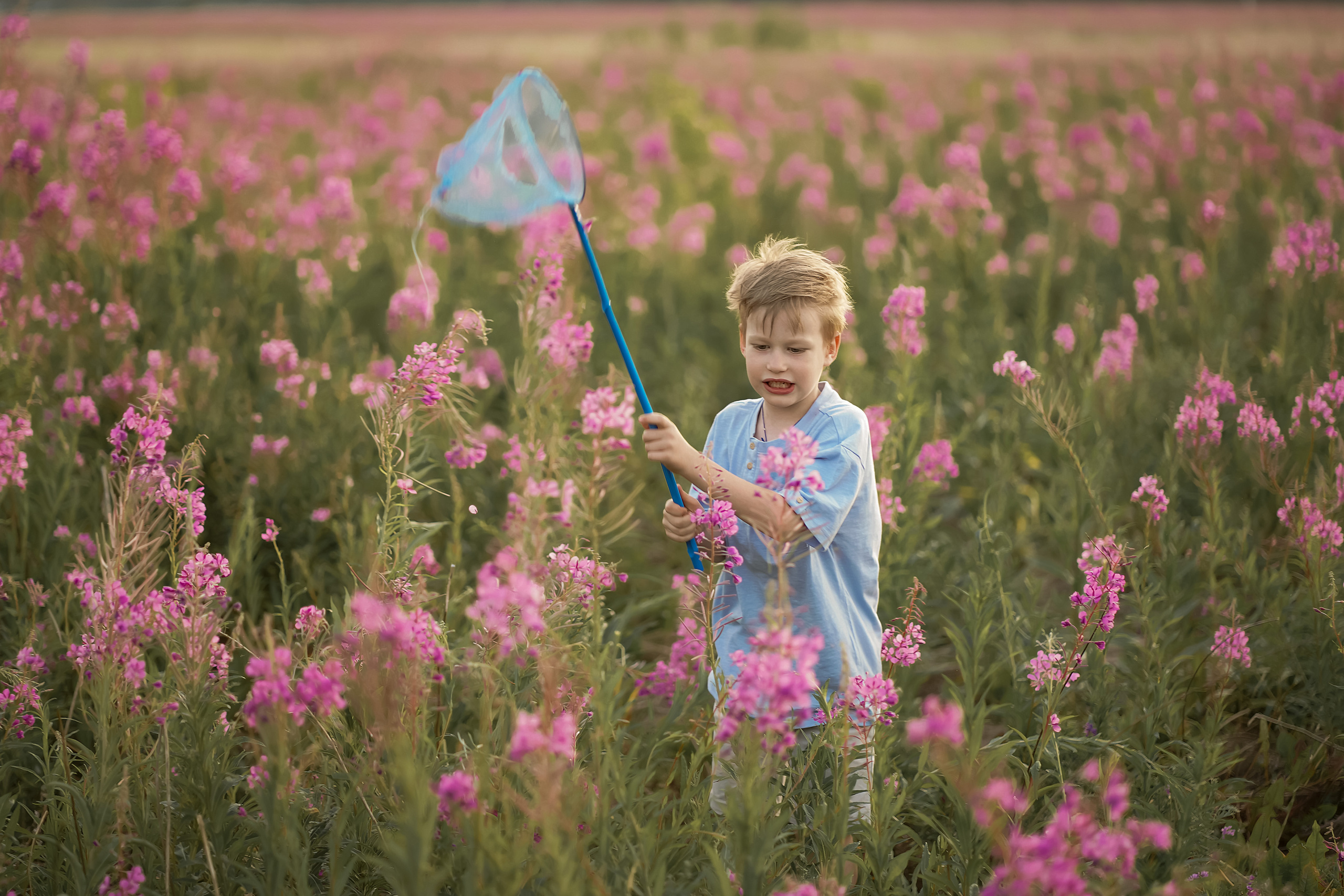 В поле Иван-чая. Фотограф Татьяна Митрофанова