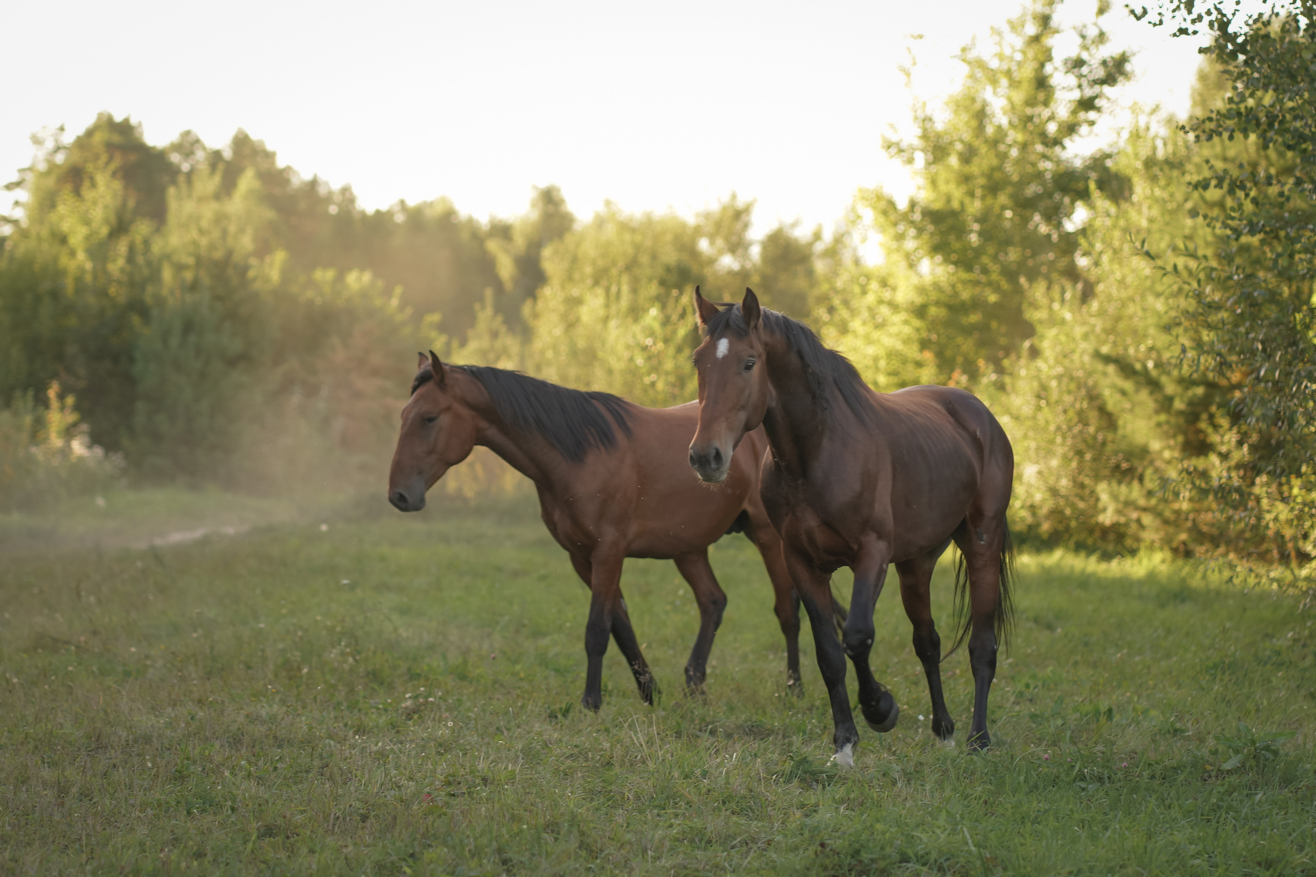 Мы на лодочке катались…. Фотограф Татьяна Митрофанова