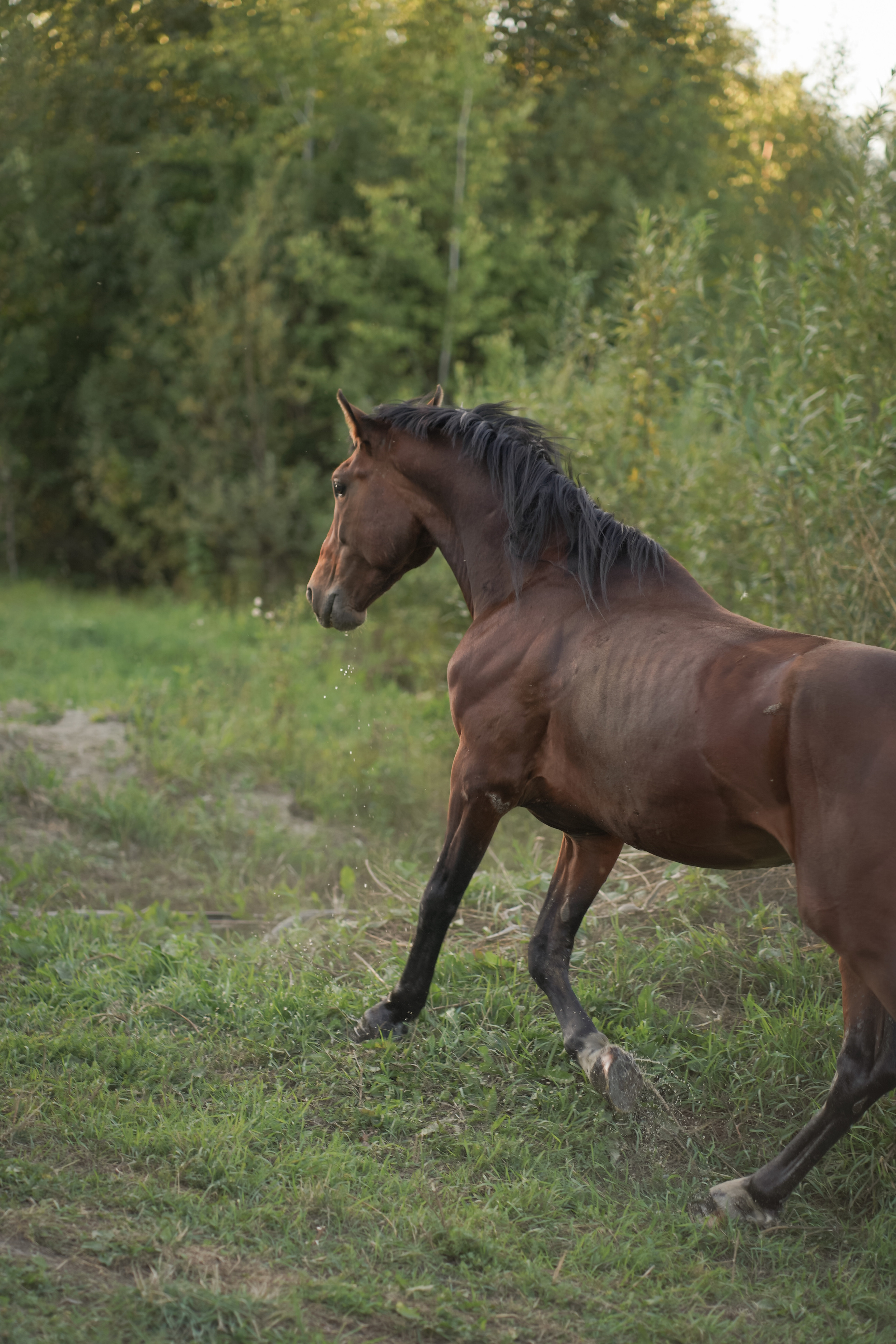 Мы на лодочке катались…. Фотограф Татьяна Митрофанова