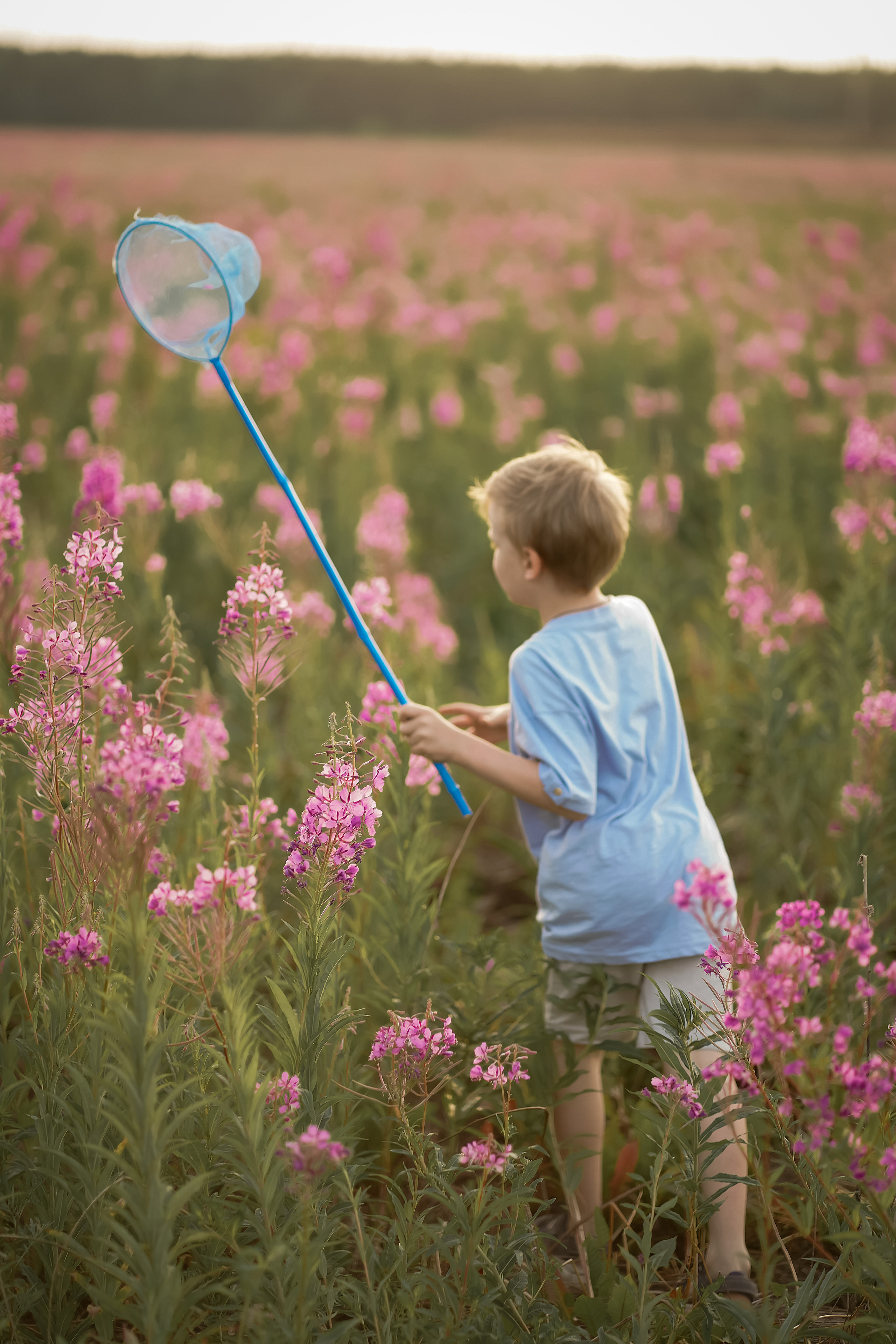 В поле Иван-чая. Фотограф Татьяна Митрофанова