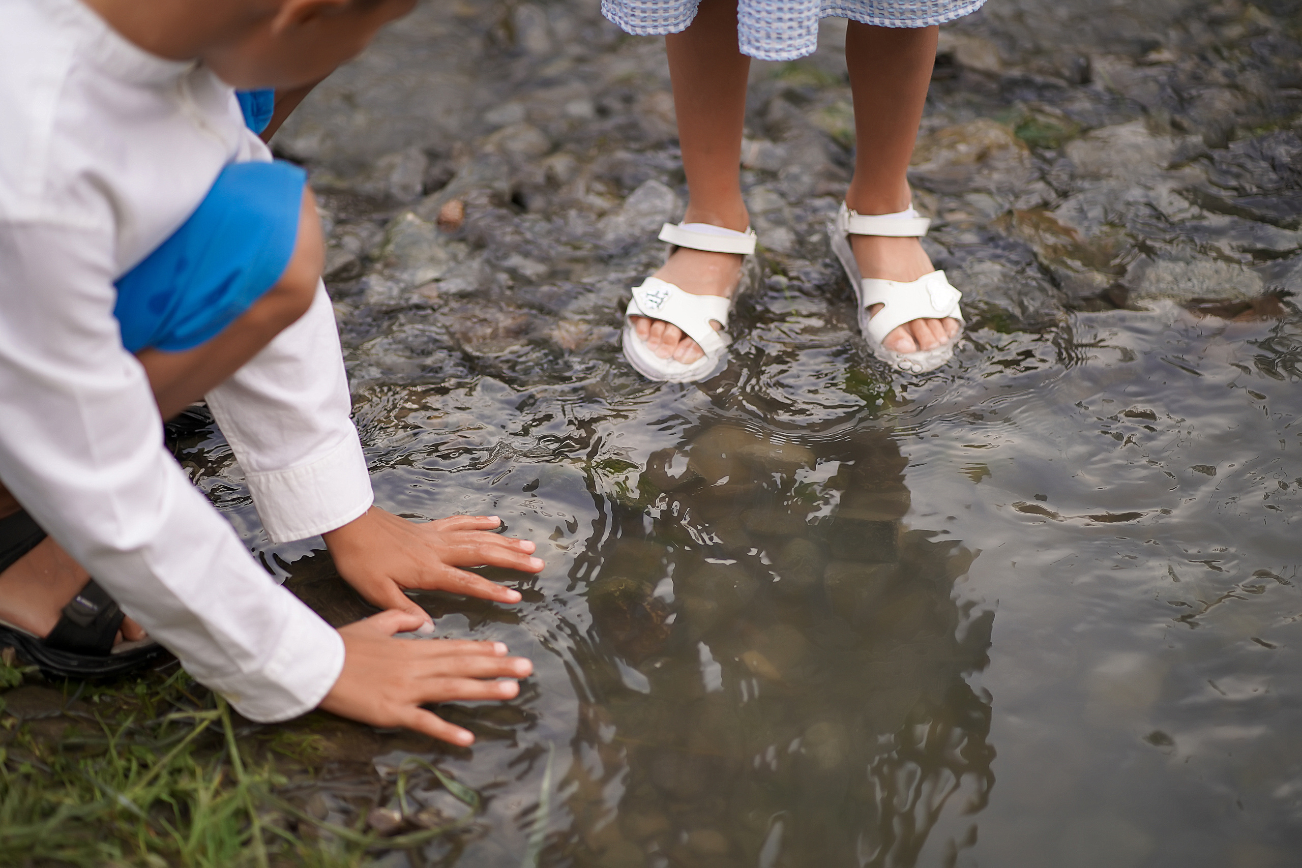Гилевская роща. Фотограф Татьяна Митрофанова