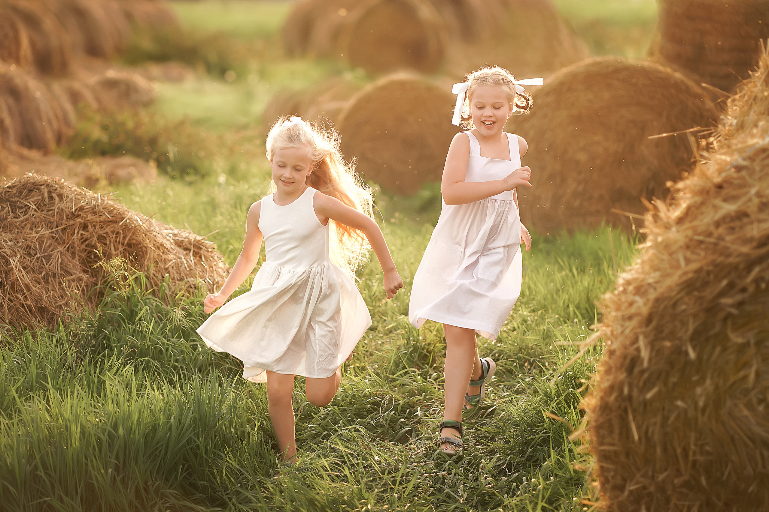 В лучах заката. Фотограф Татьяна Митрофанова