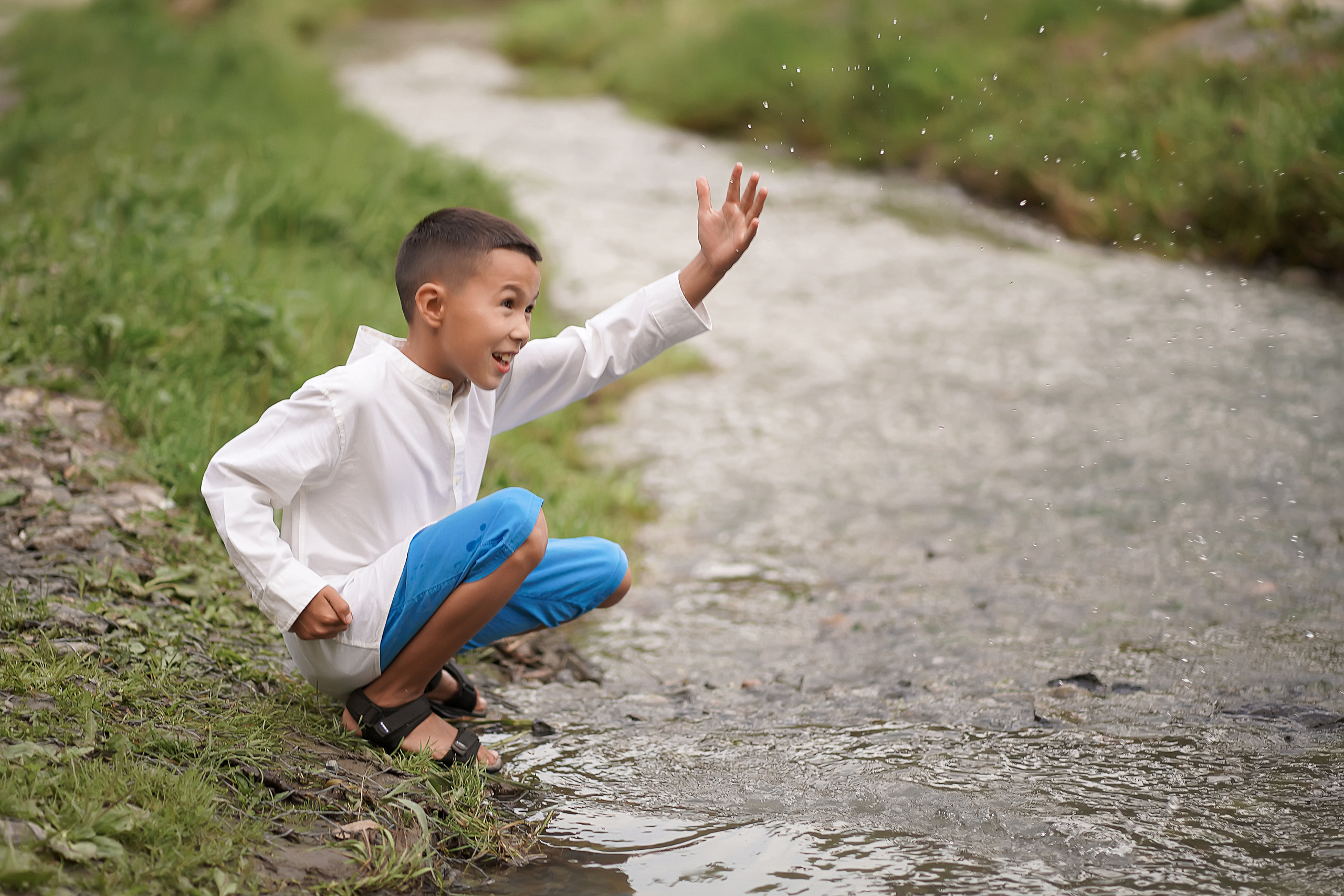 Гилевская роща. Фотограф Татьяна Митрофанова