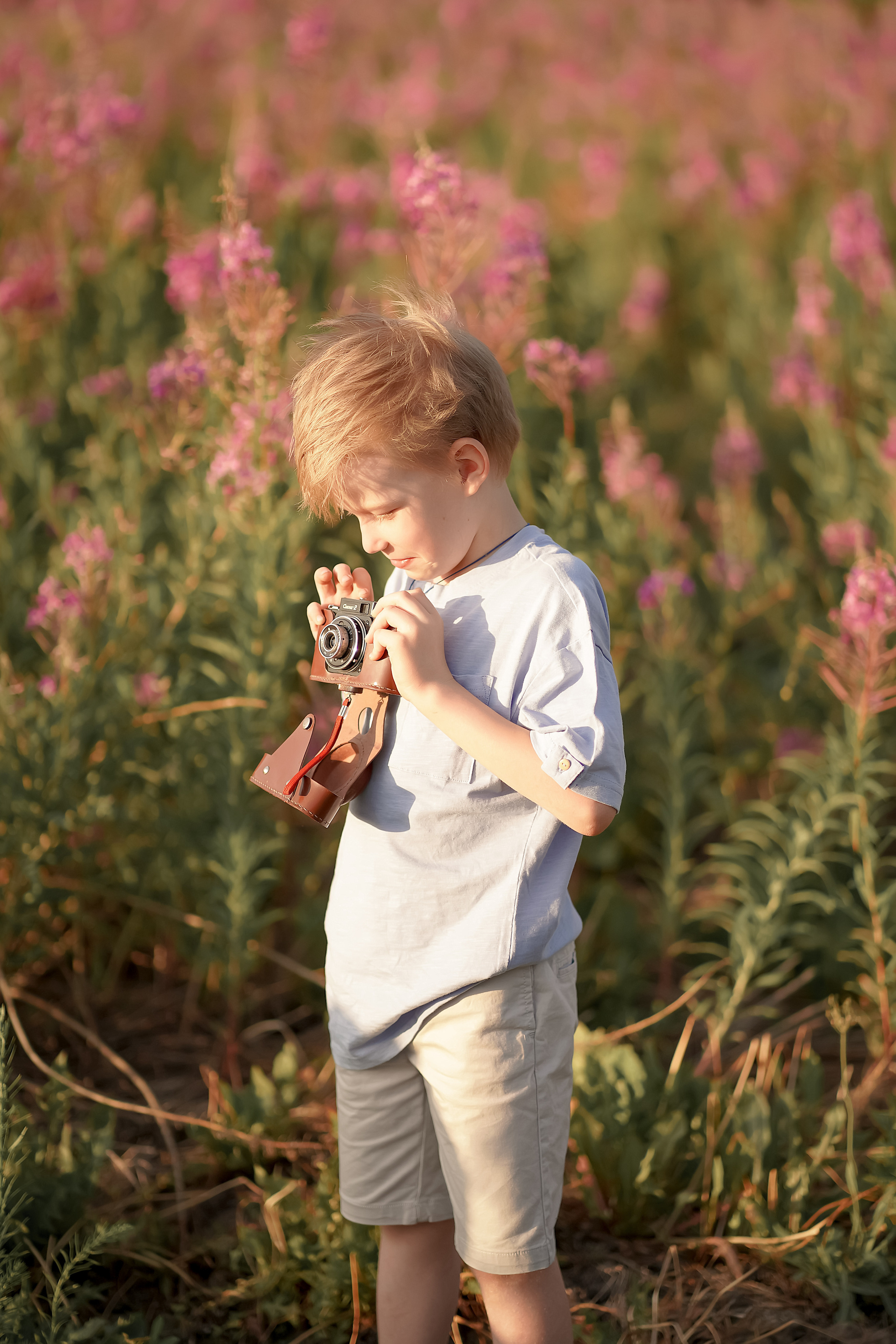 В поле Иван-чая. Фотограф Татьяна Митрофанова