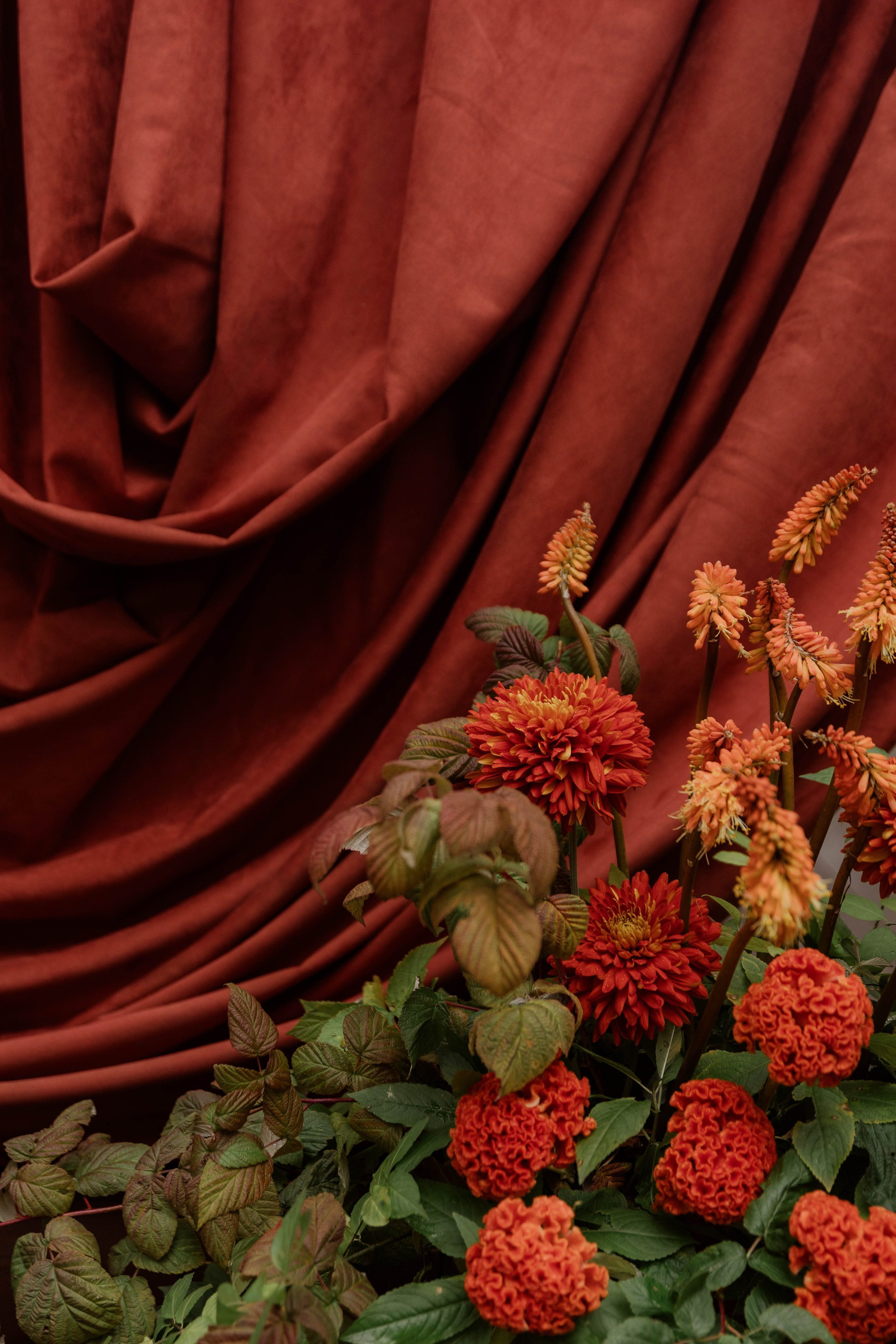 Александр и Валерия. Фотограф Юсова Мария