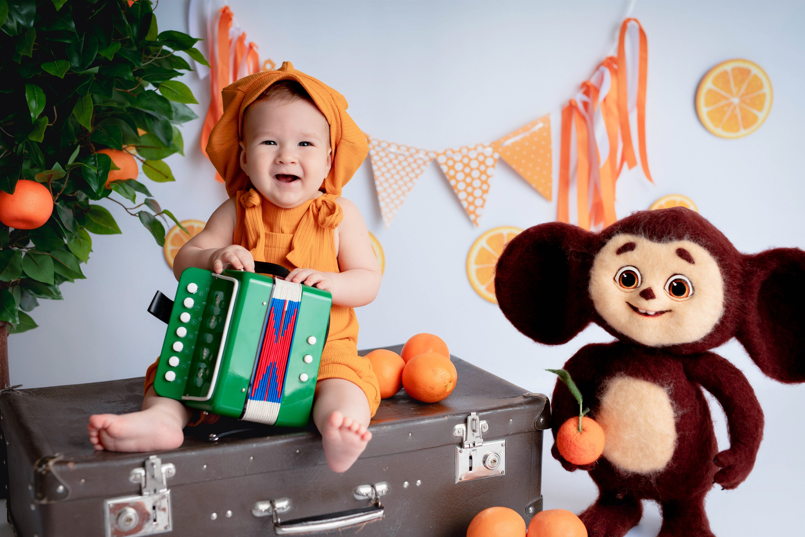 Апельсины. Фотограф Болотова Иветта