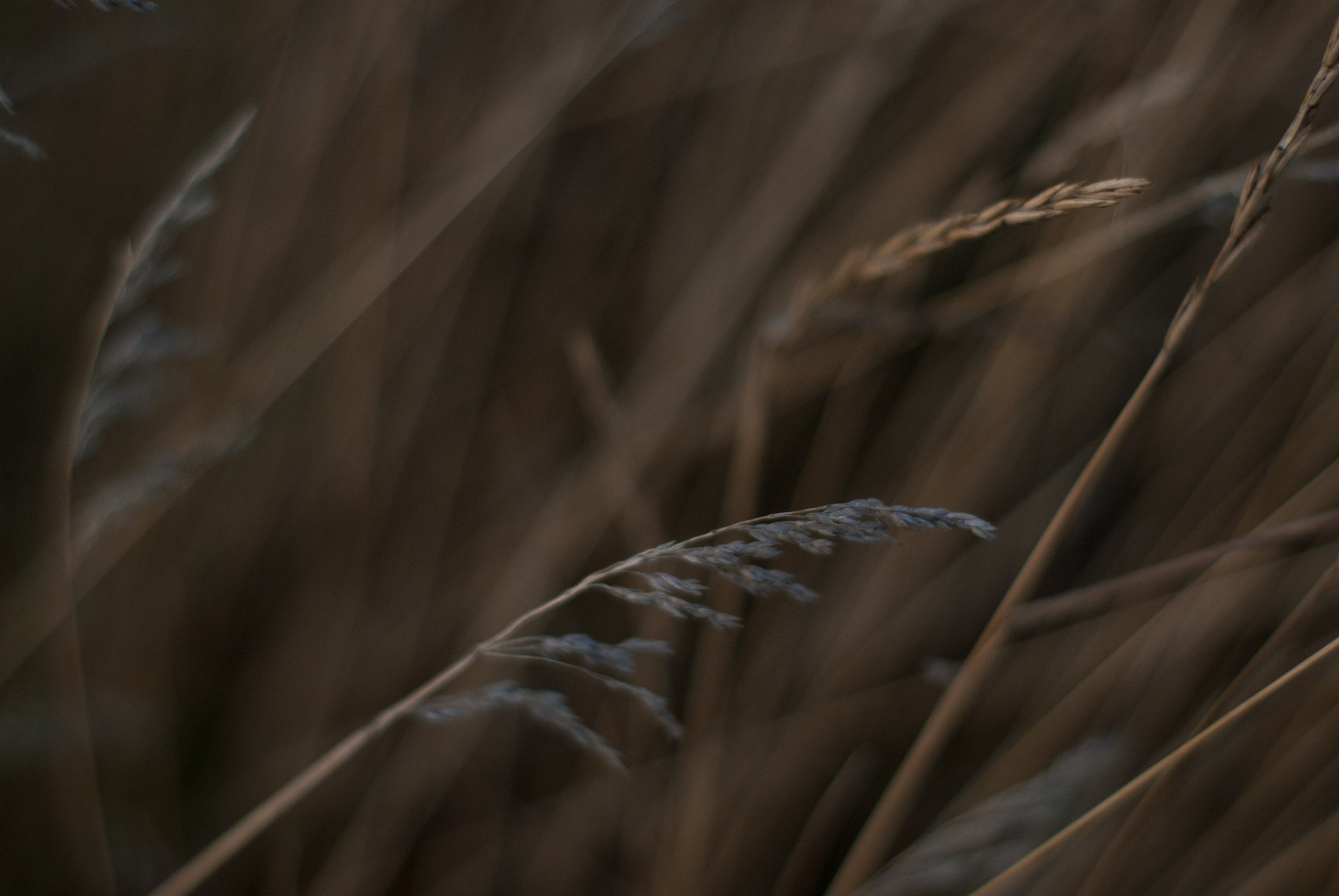 Этот прекрасный мир