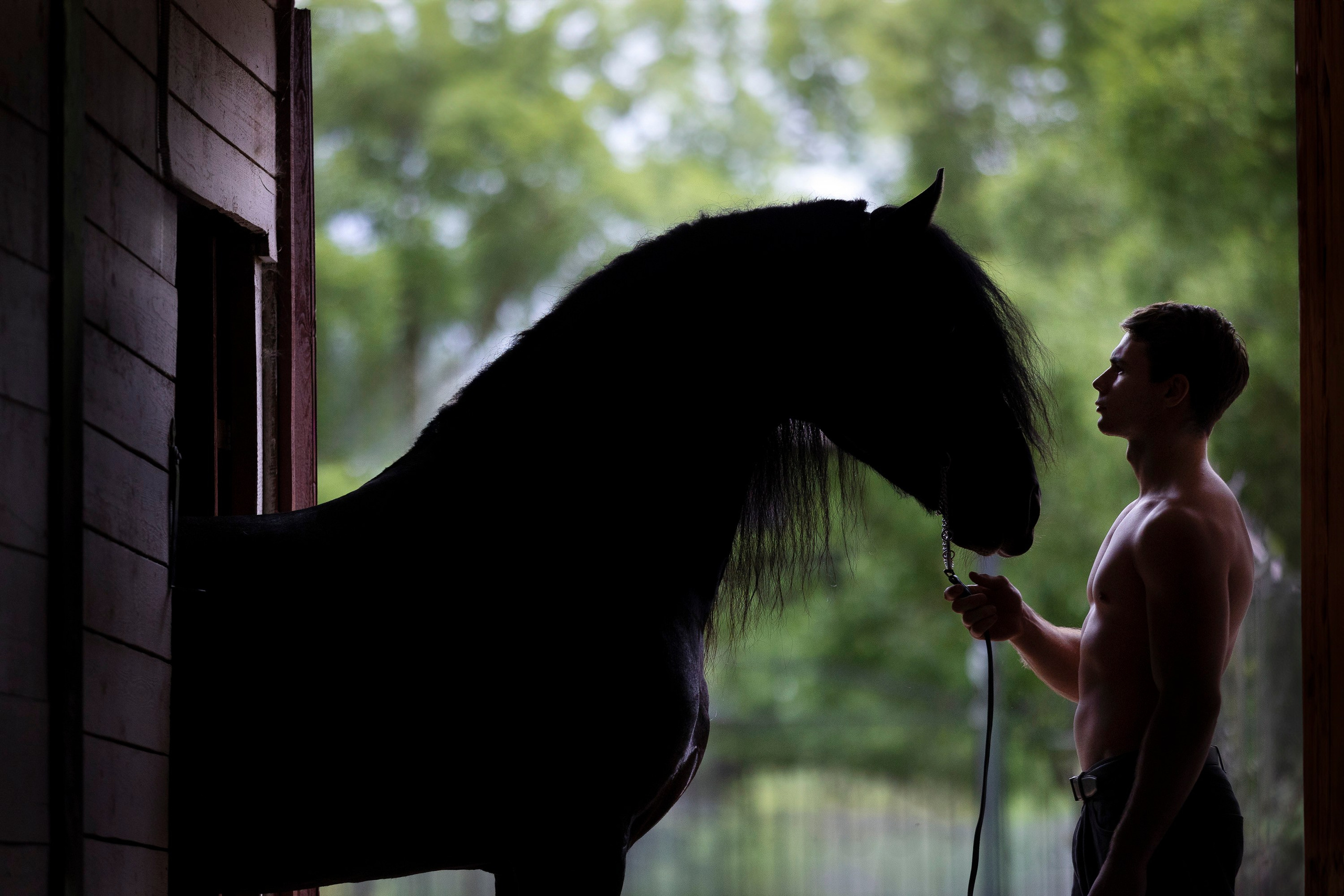 Аванпост. Фотограф анималист, семейный фотограф, фотограф собак Комратова Мария. г. Москва