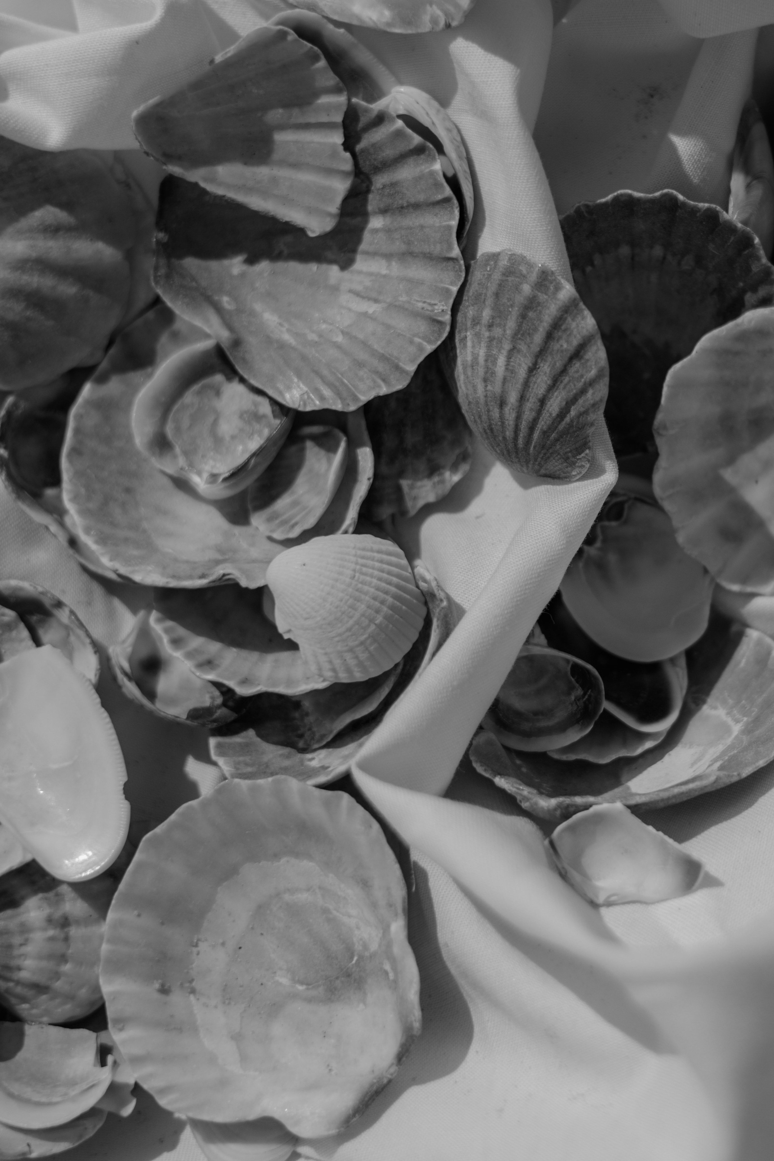 Пляж. Оформление свадеб, декор свадеб Вера Маркова, Москва