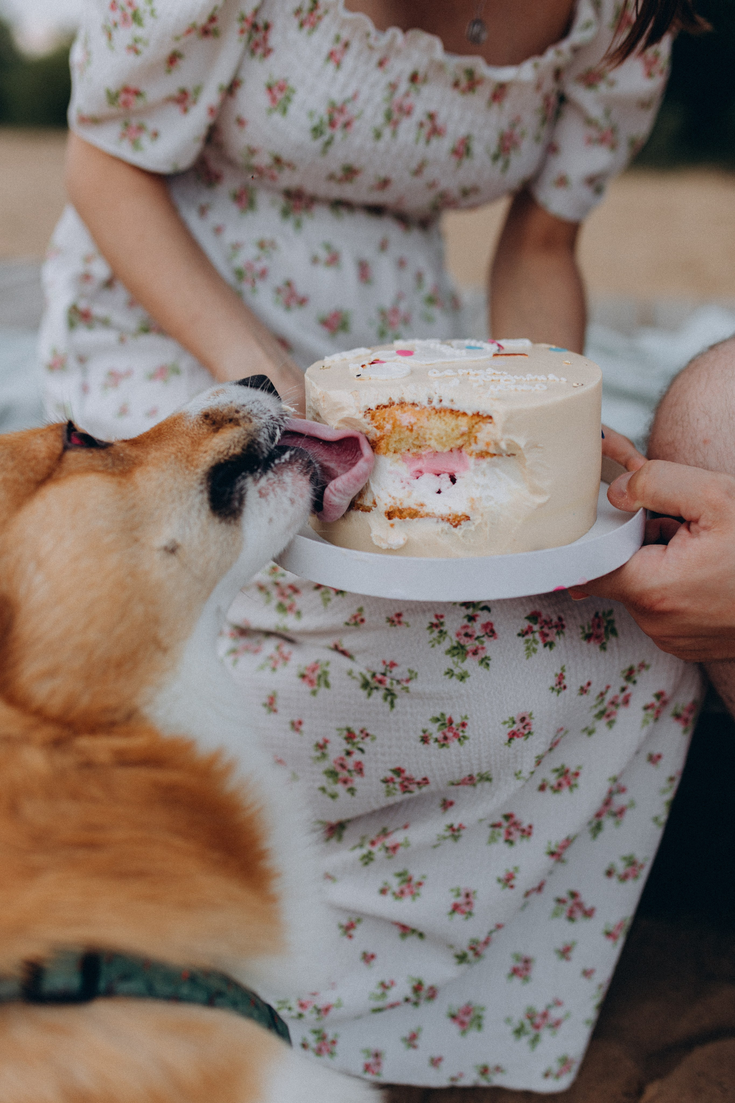 Эля, Денис и Сэми. Фотограф в Нижнем Новгороде Лебедева Елена
