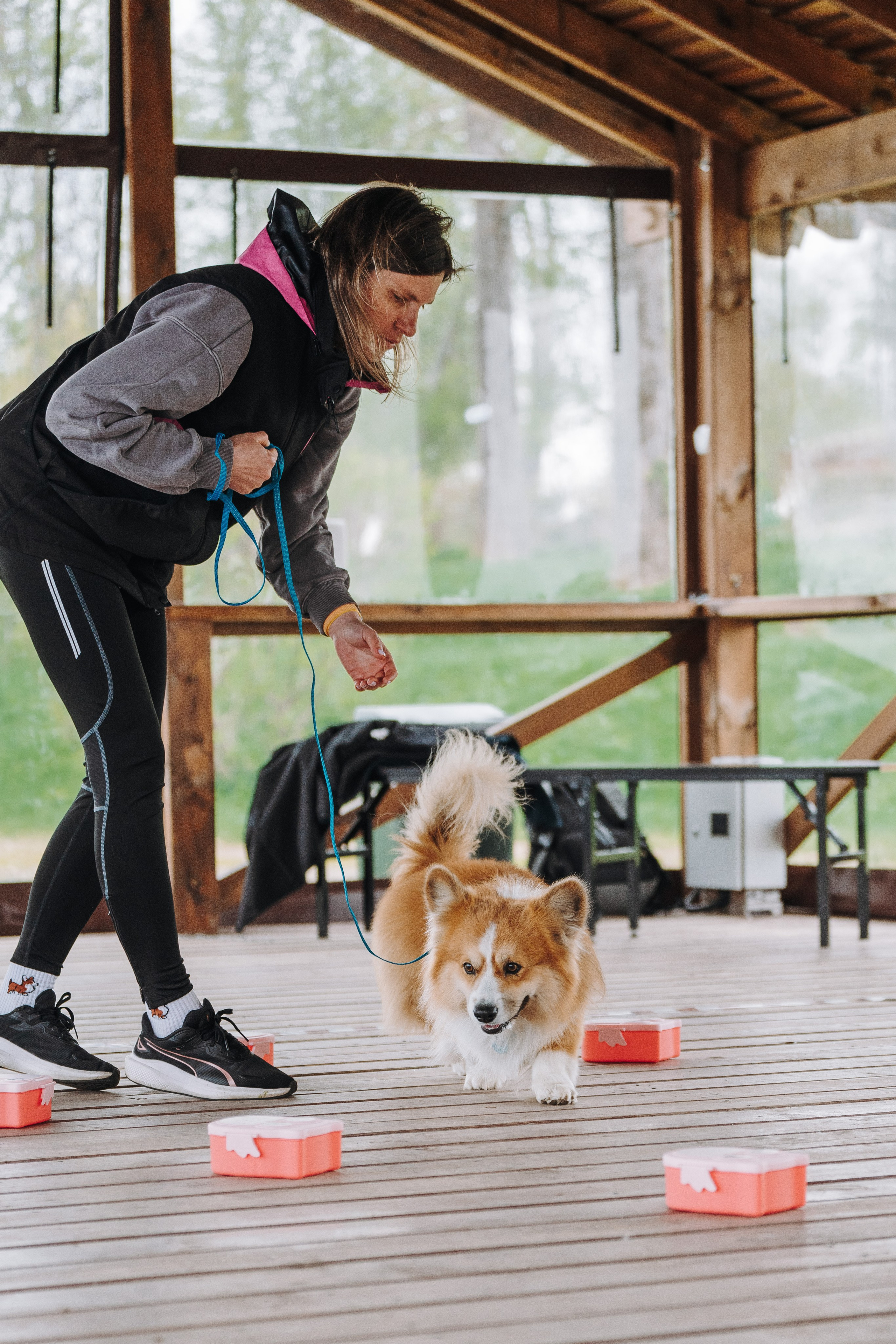 Соревнования по ноузворку в Лосево. Фотограф анималист в Спб недорого Олеся Майорова