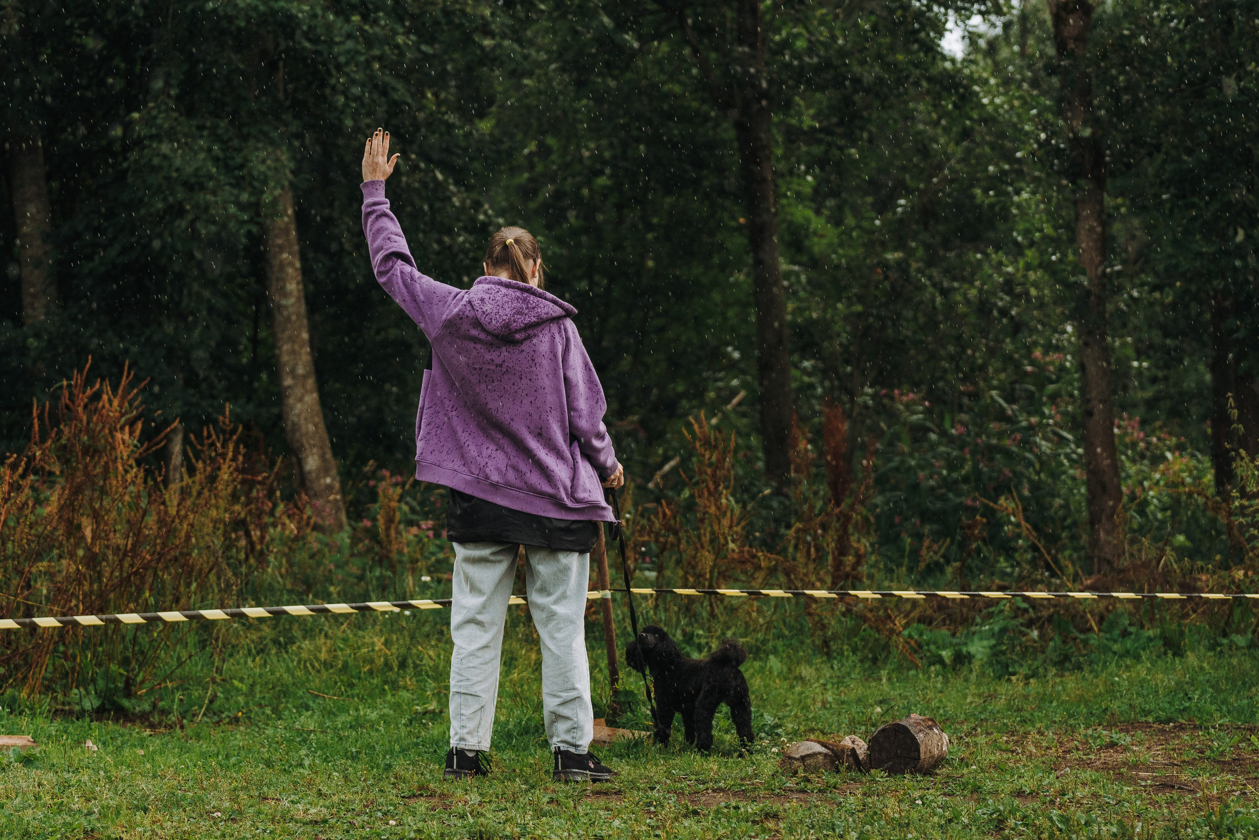Соревнования по ноузворку в Новожилово. Фотограф анималист в Спб недорого Олеся Майорова