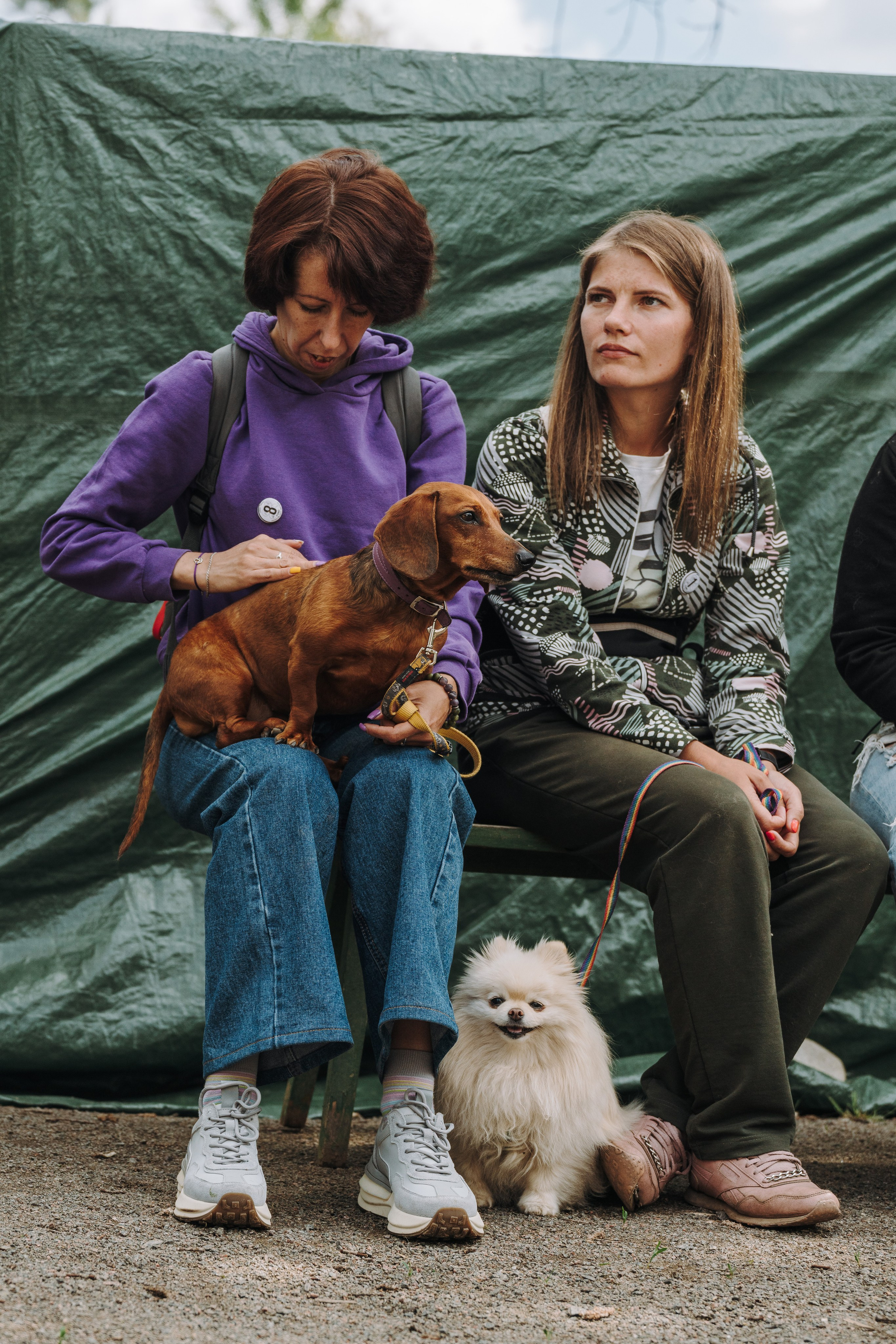 Соревнования по ноузворку. Фотограф анималист в Спб недорого Олеся Майорова