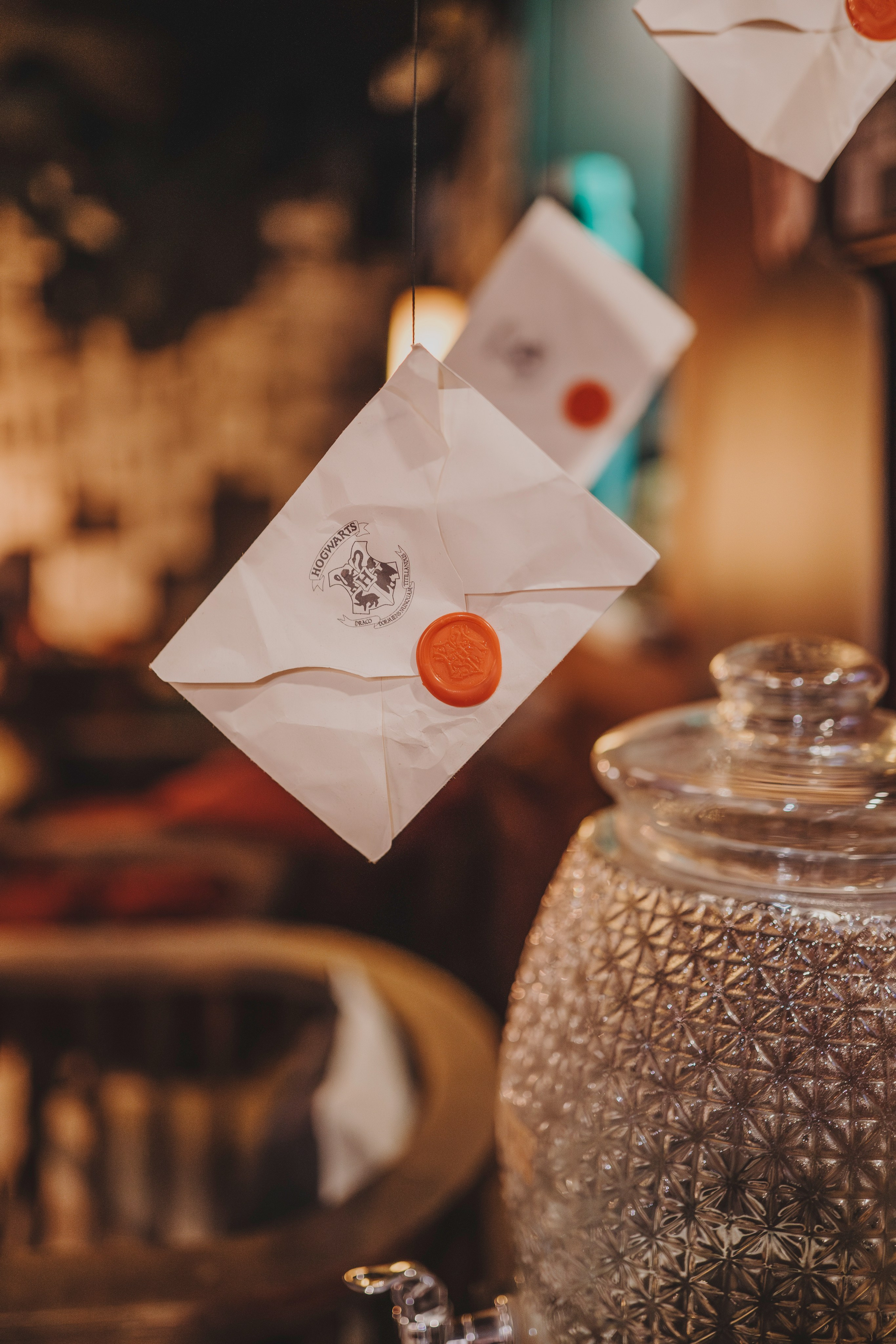 Аня, Андуин и Тесс. Фотограф анималист в Спб недорого Олеся Майорова