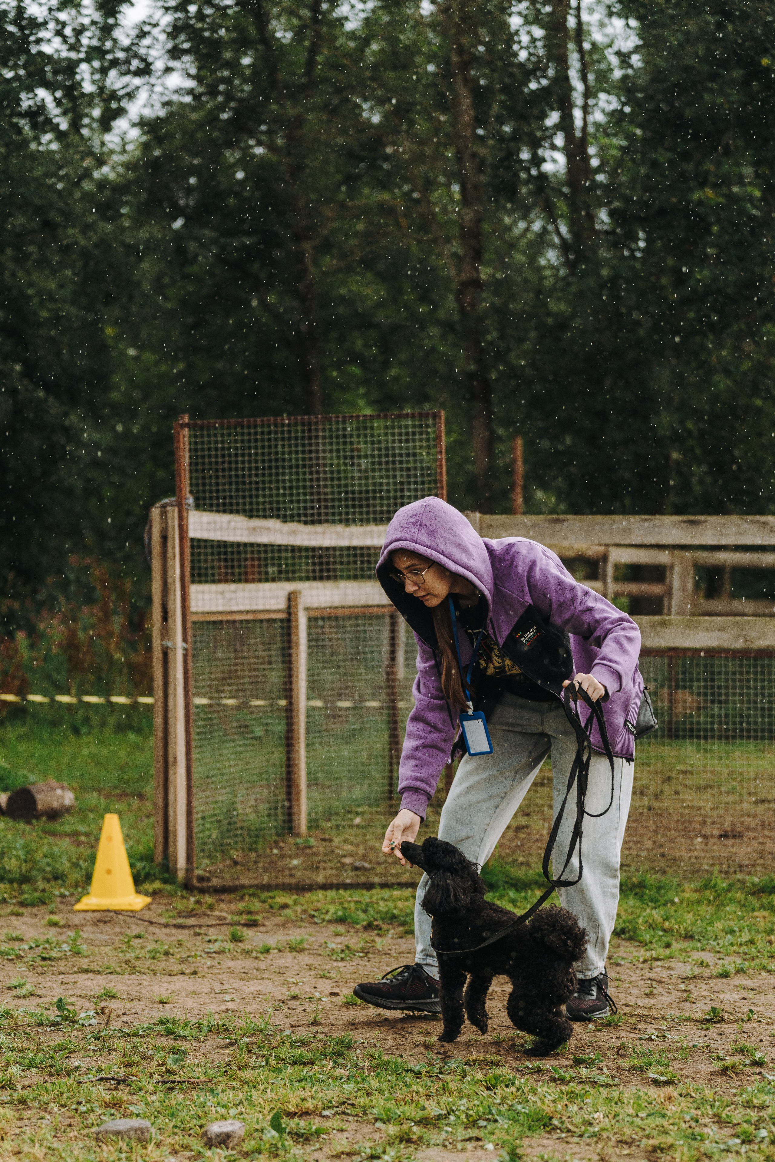 Соревнования по ноузворку в Новожилово. Фотограф анималист в Спб недорого Олеся Майорова