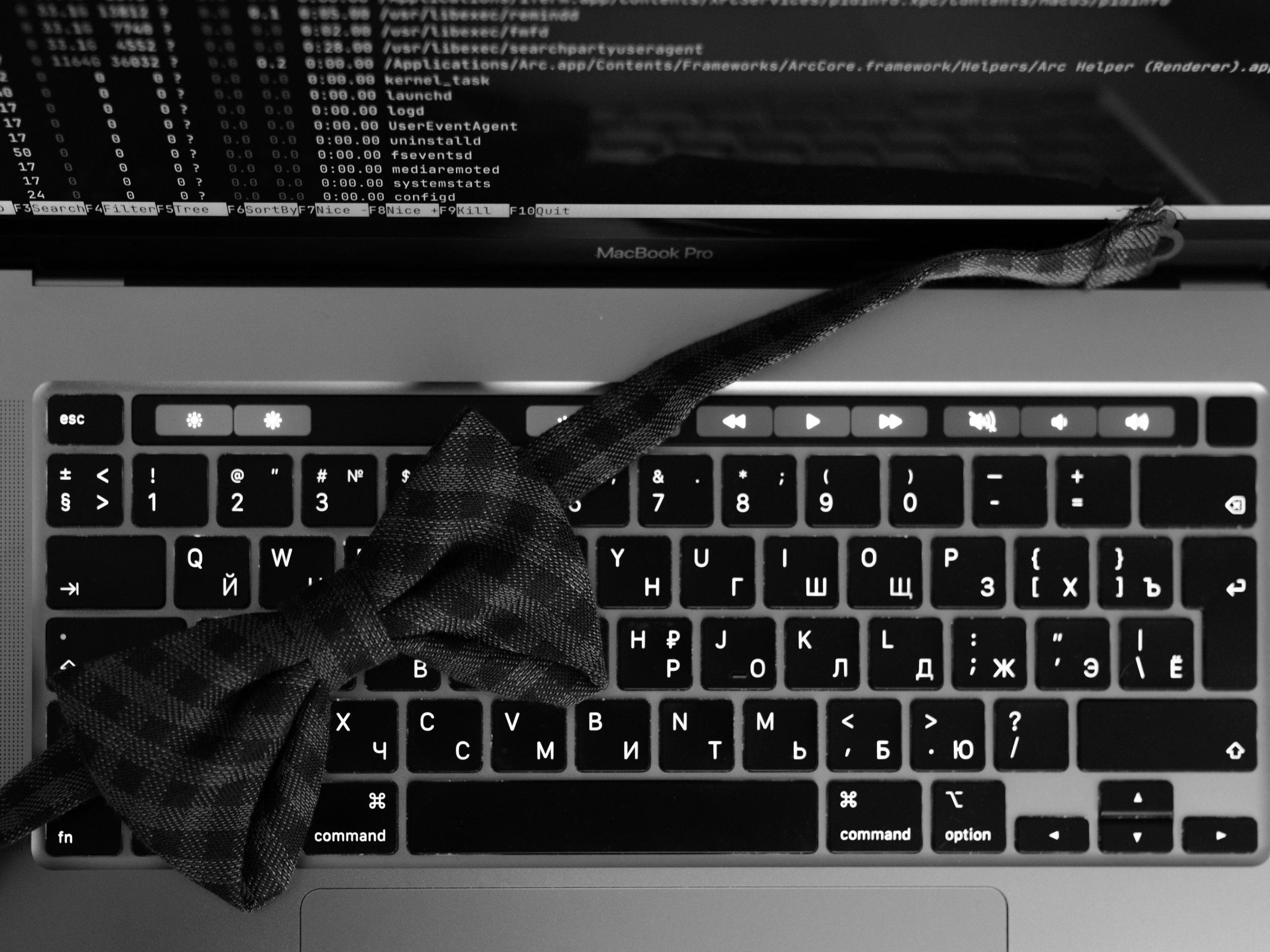 Денис & Катя. Свадебный фотограф Москва и Подмосковье