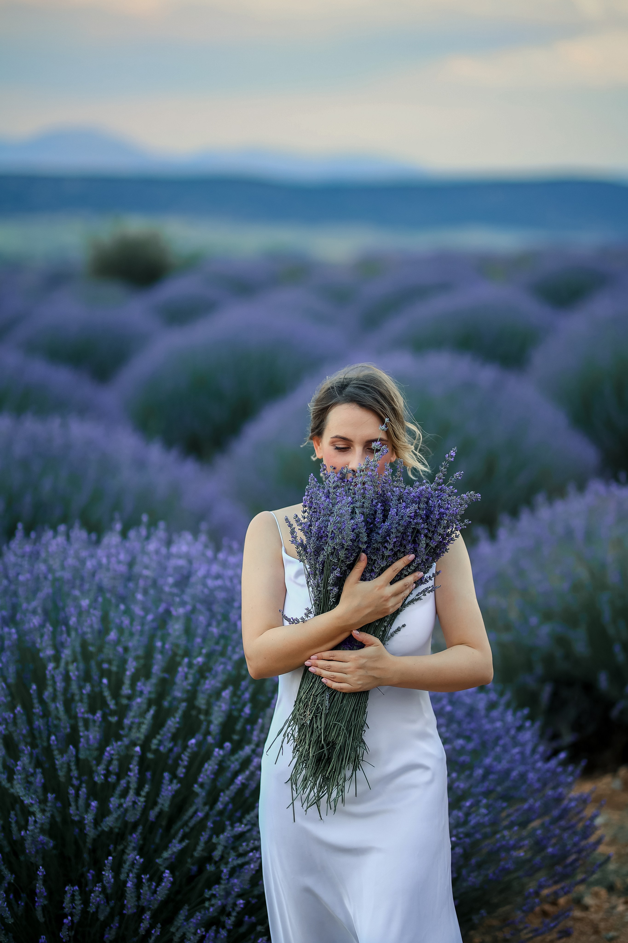 Lavender fields in Turkey