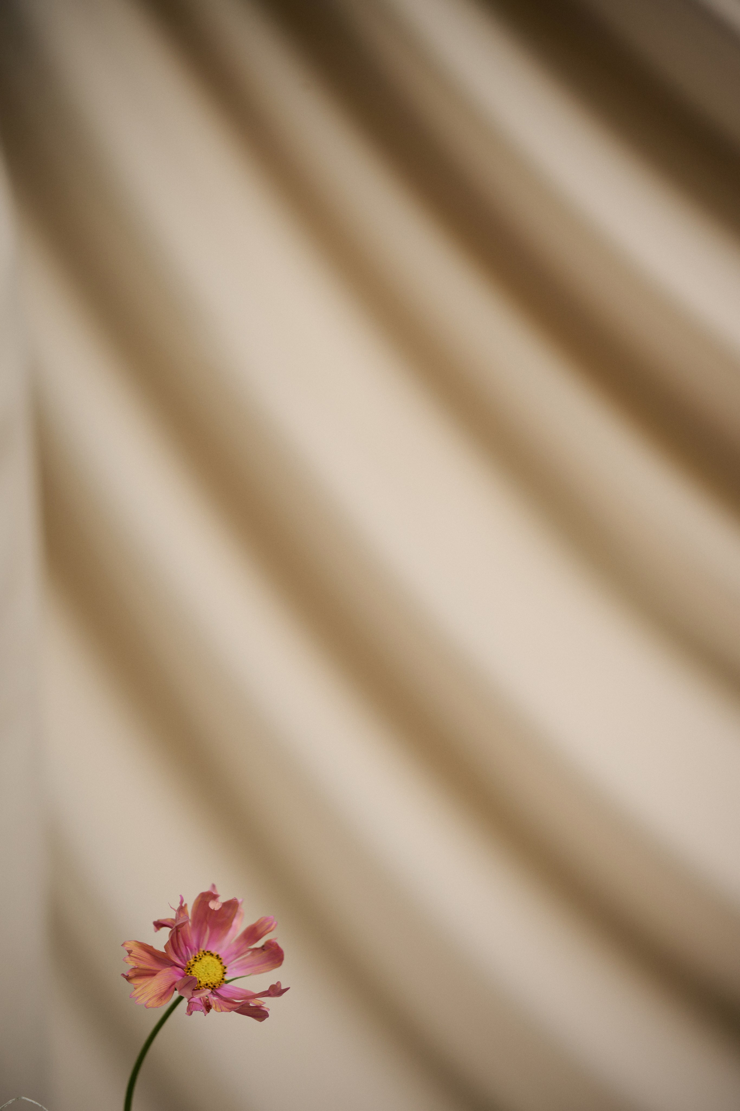 Vlad | Chris. Свадебный фотограф Сергей Скрипник