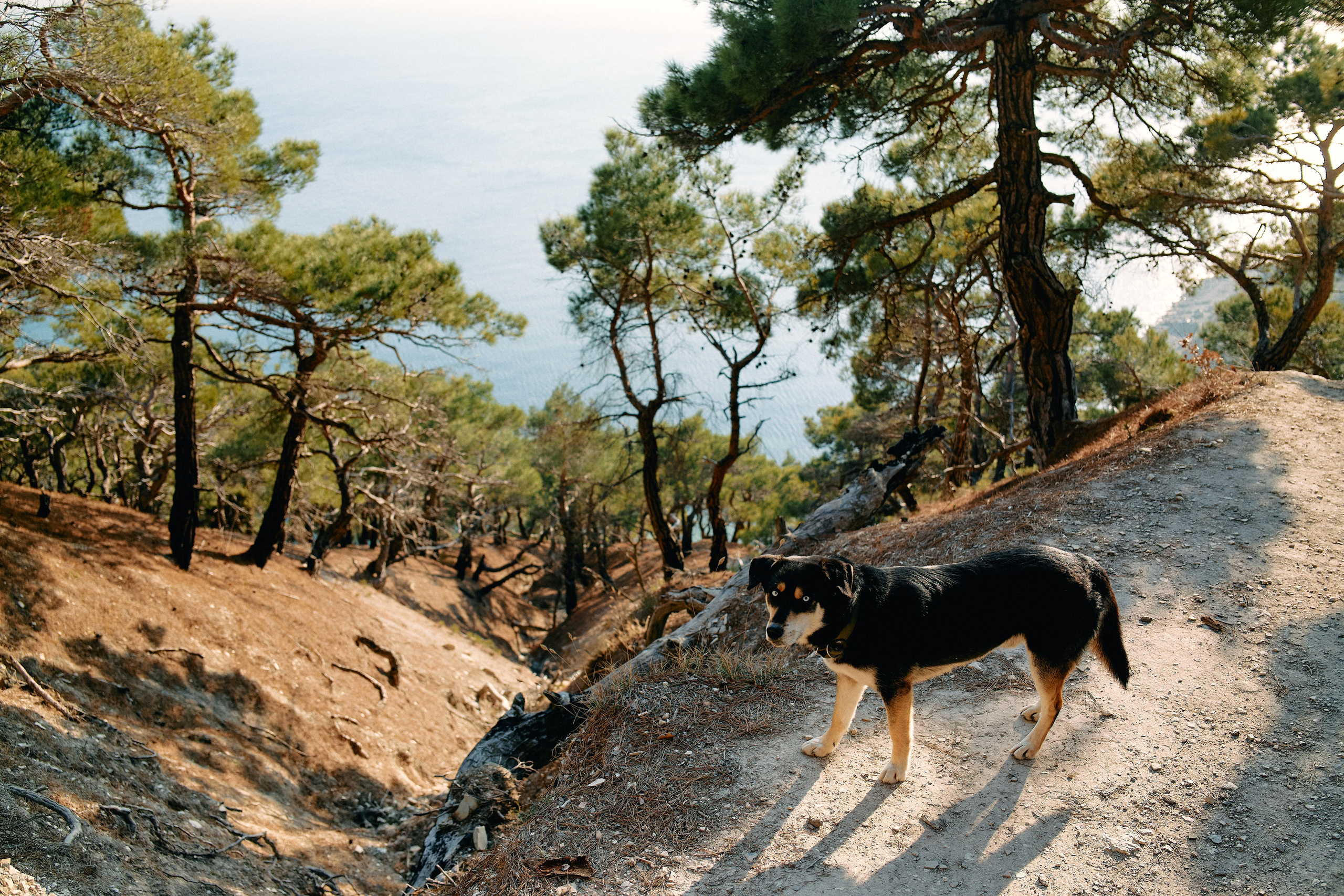 Юг России. Профессиональный Фотограф во Владимире, в Москве и в Суздале — Полина Романычева