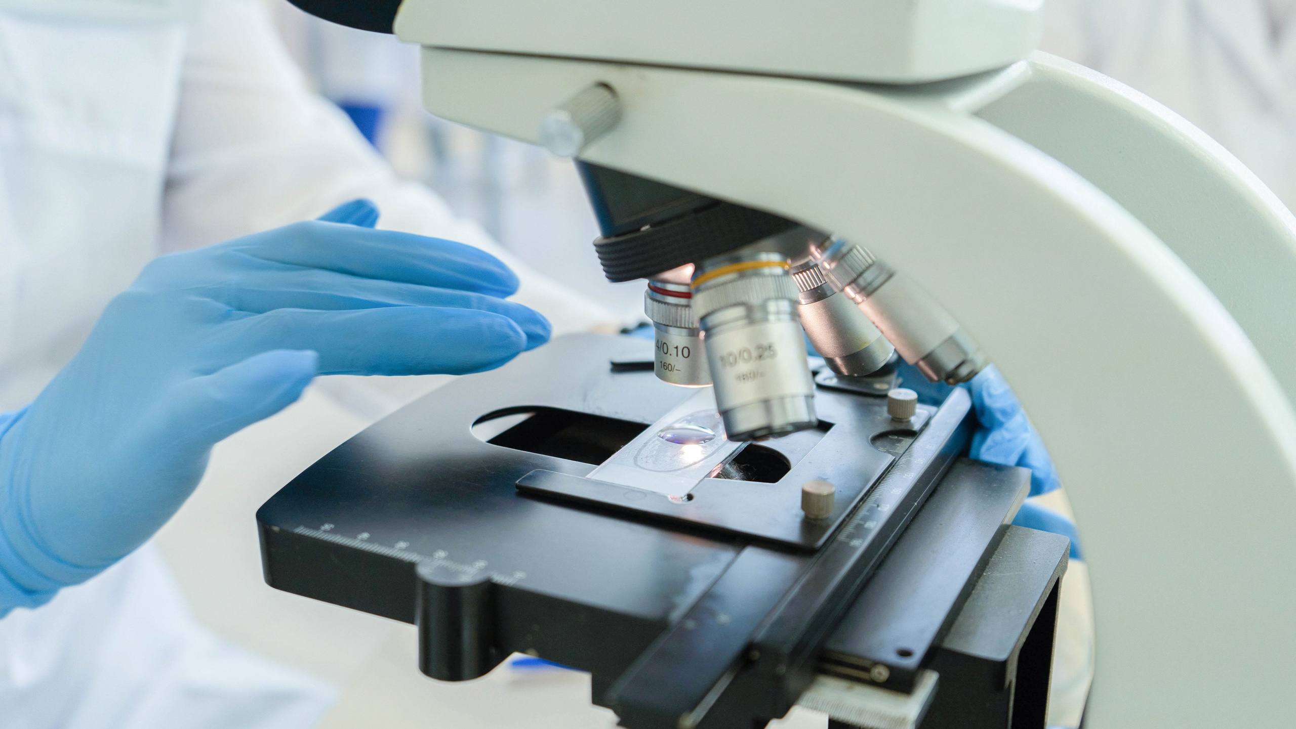 Московские мастера «Ветеринары». Фотограф, оператор-монтажер, продюсер медиа проектов в Москве