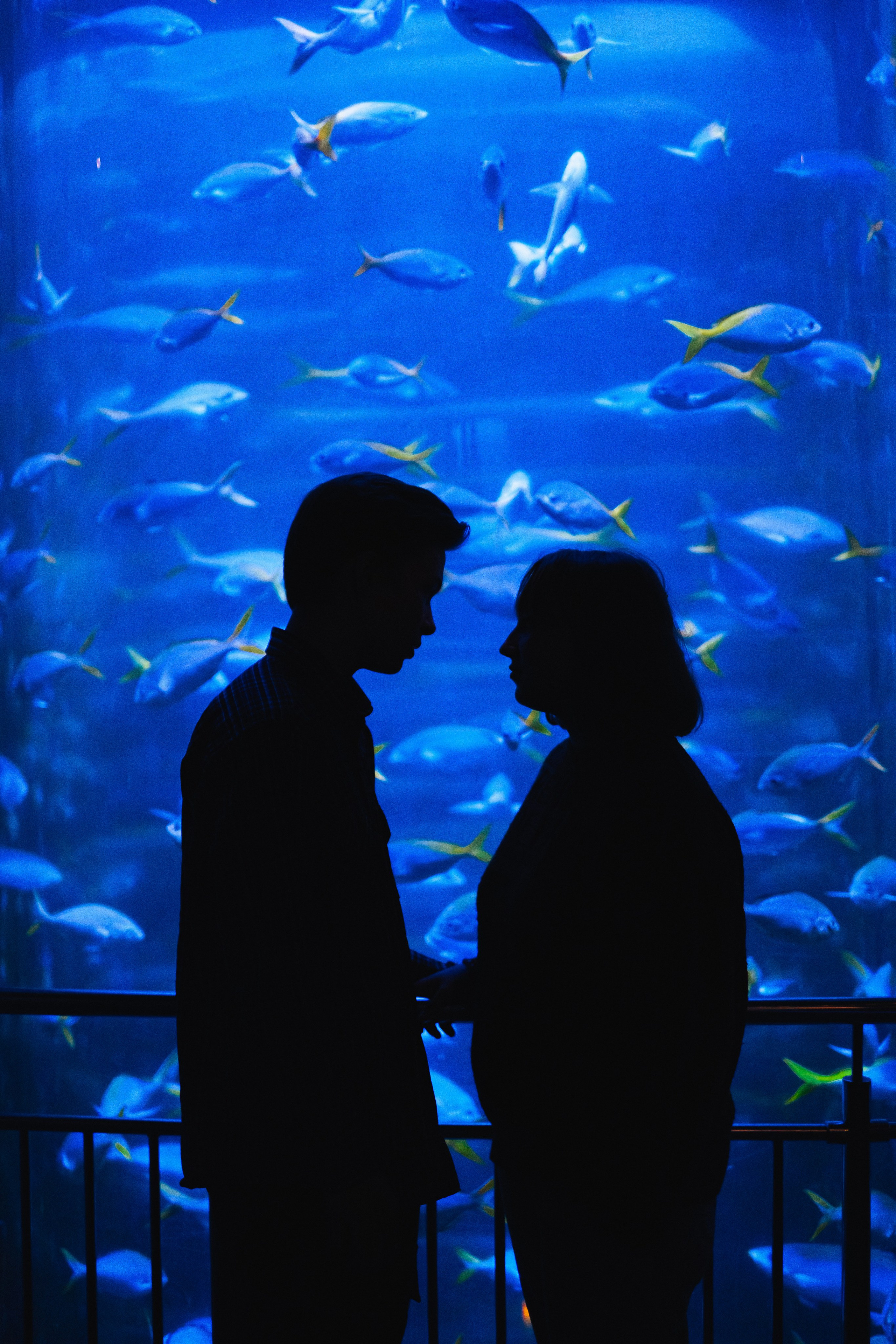 Океанариум. Фотограф Благовещенска Яна