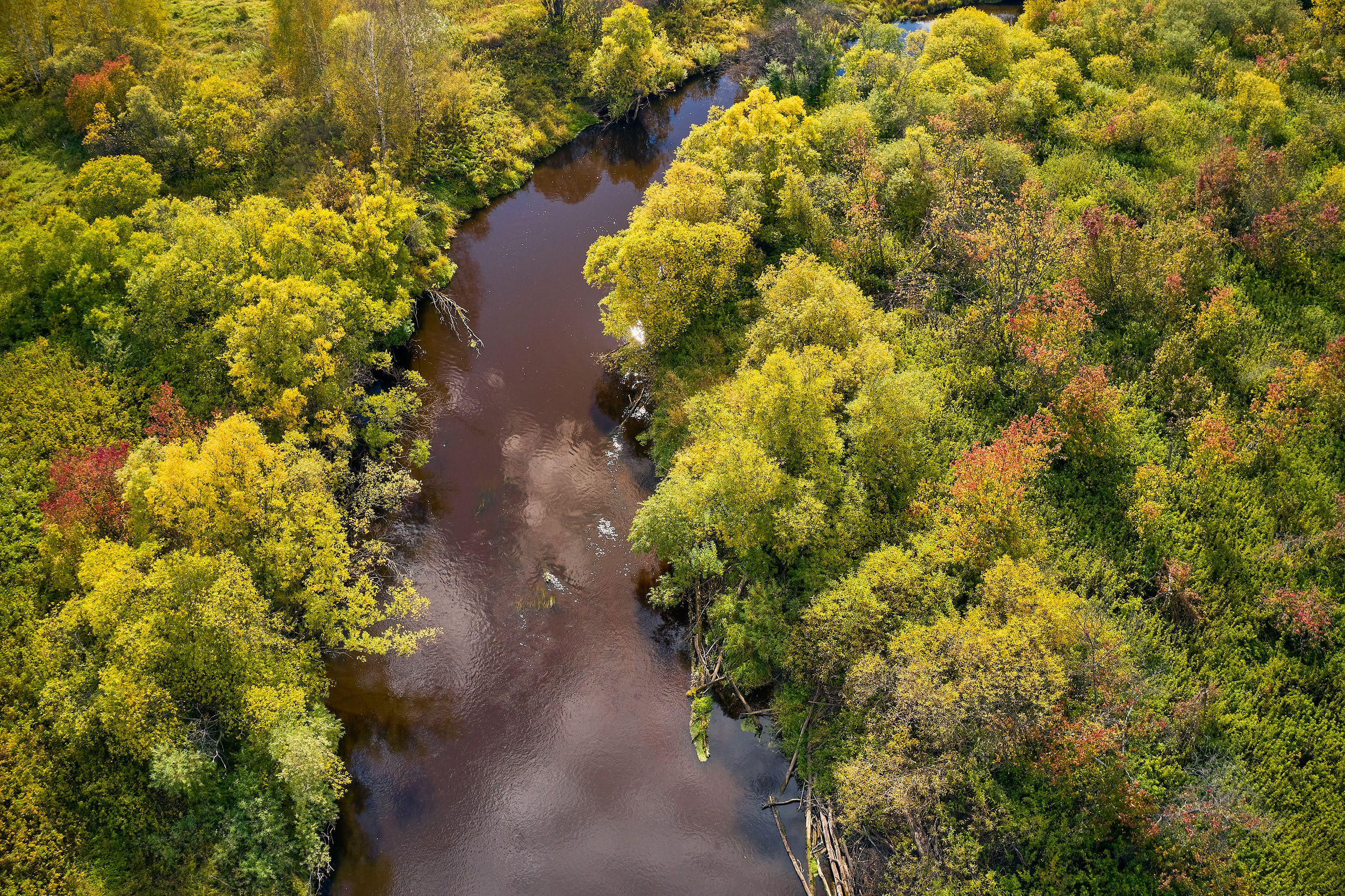 Съемка в полете. DMITRY MOISEENKO — фотограф, художник, топ-стилист