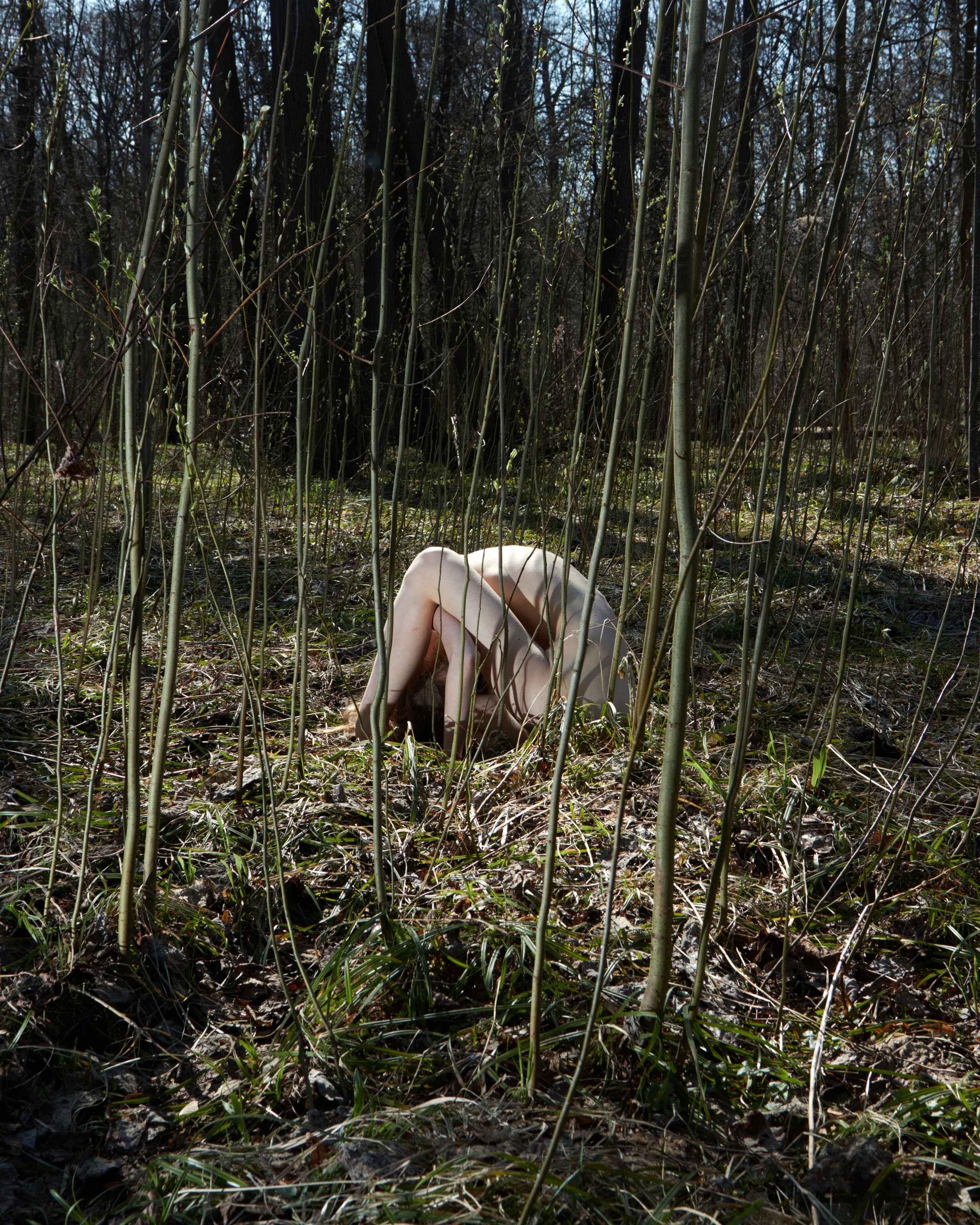 VASILISA. Andrew Valmus