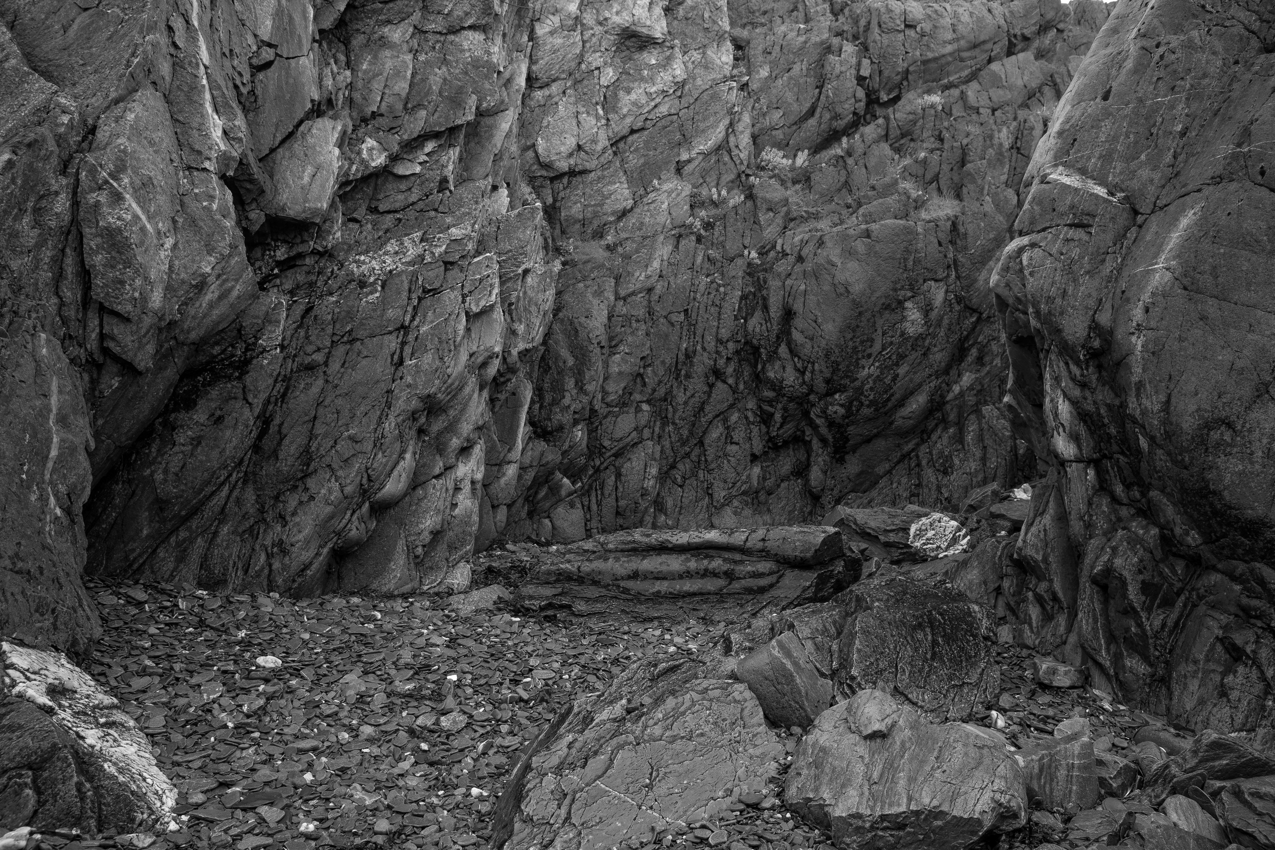 Варангер. Северные Ночи