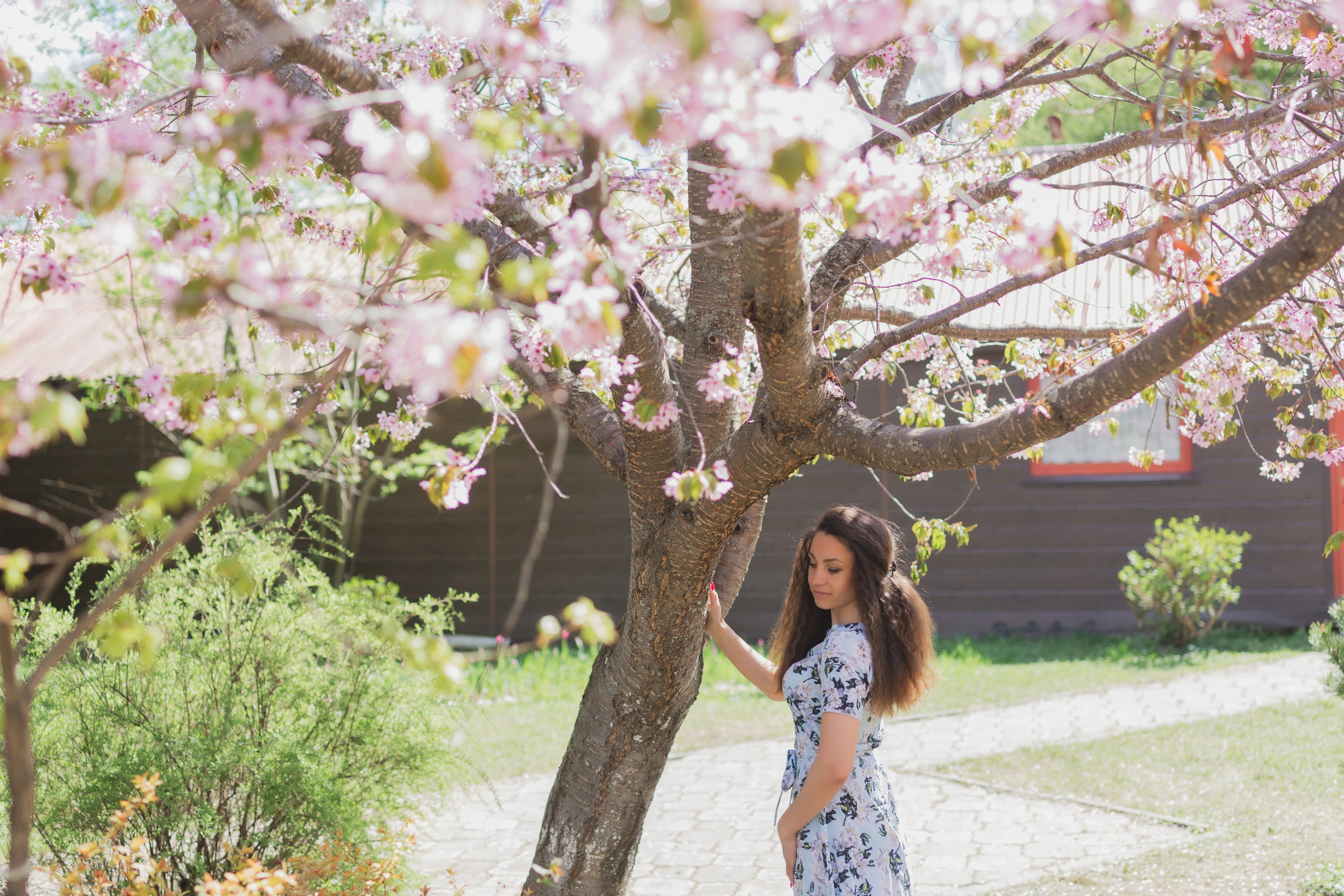 Настя и сакура. Фотограф Южно-Сахалинск