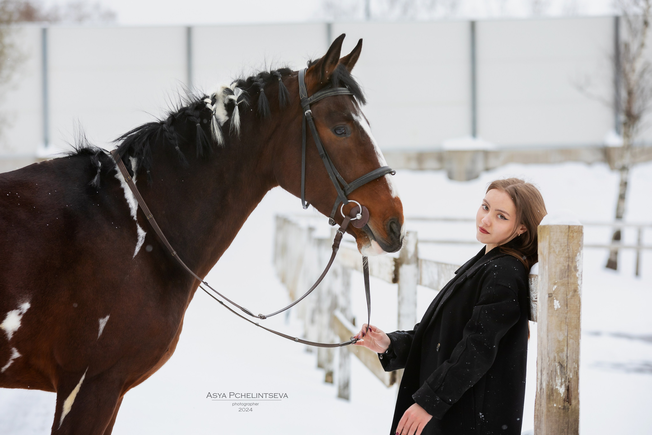 Баядера. Ася Пчелинцева, фотограф в СПб и ЛО