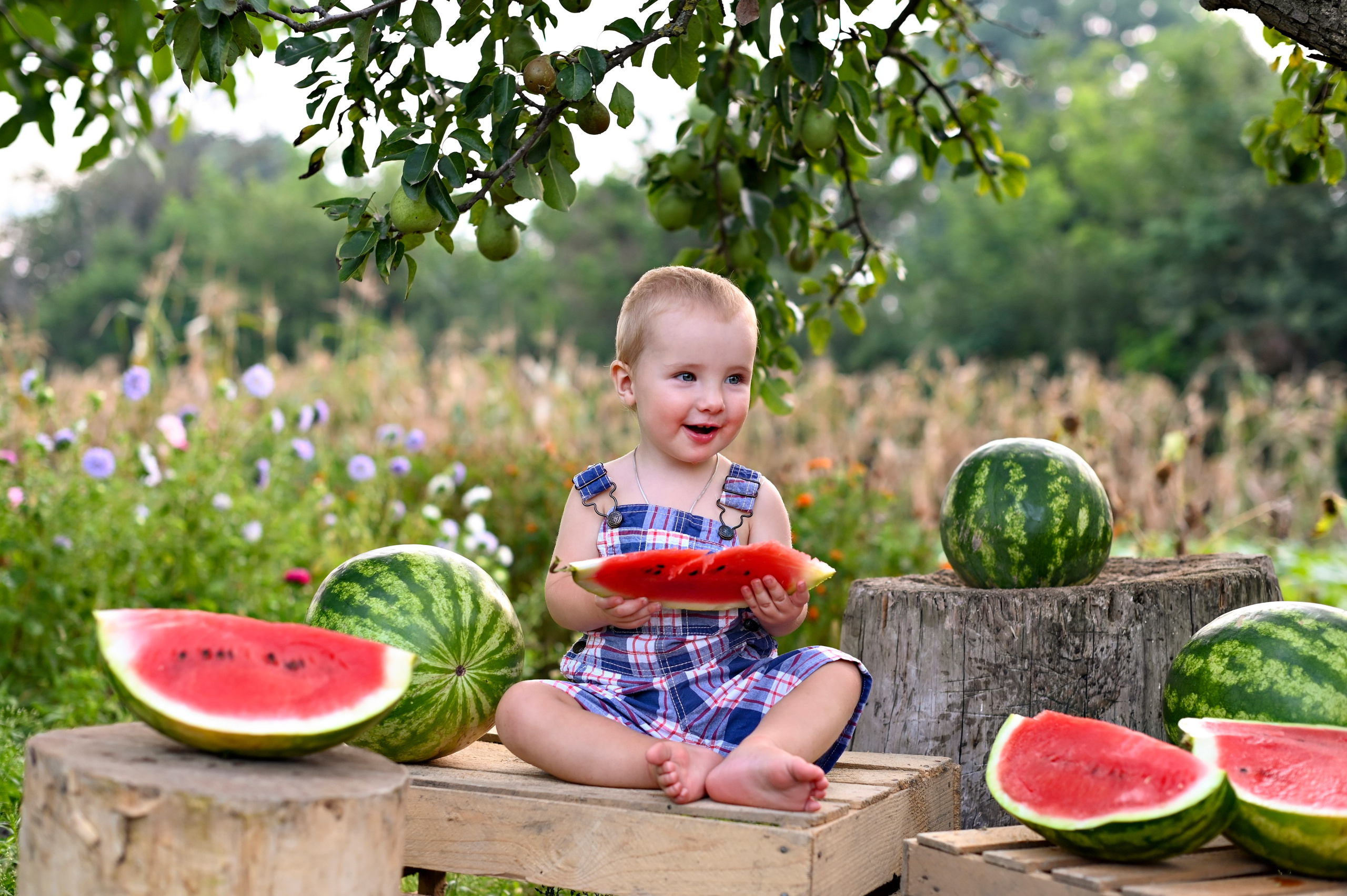 детская фотосессия с арбузами