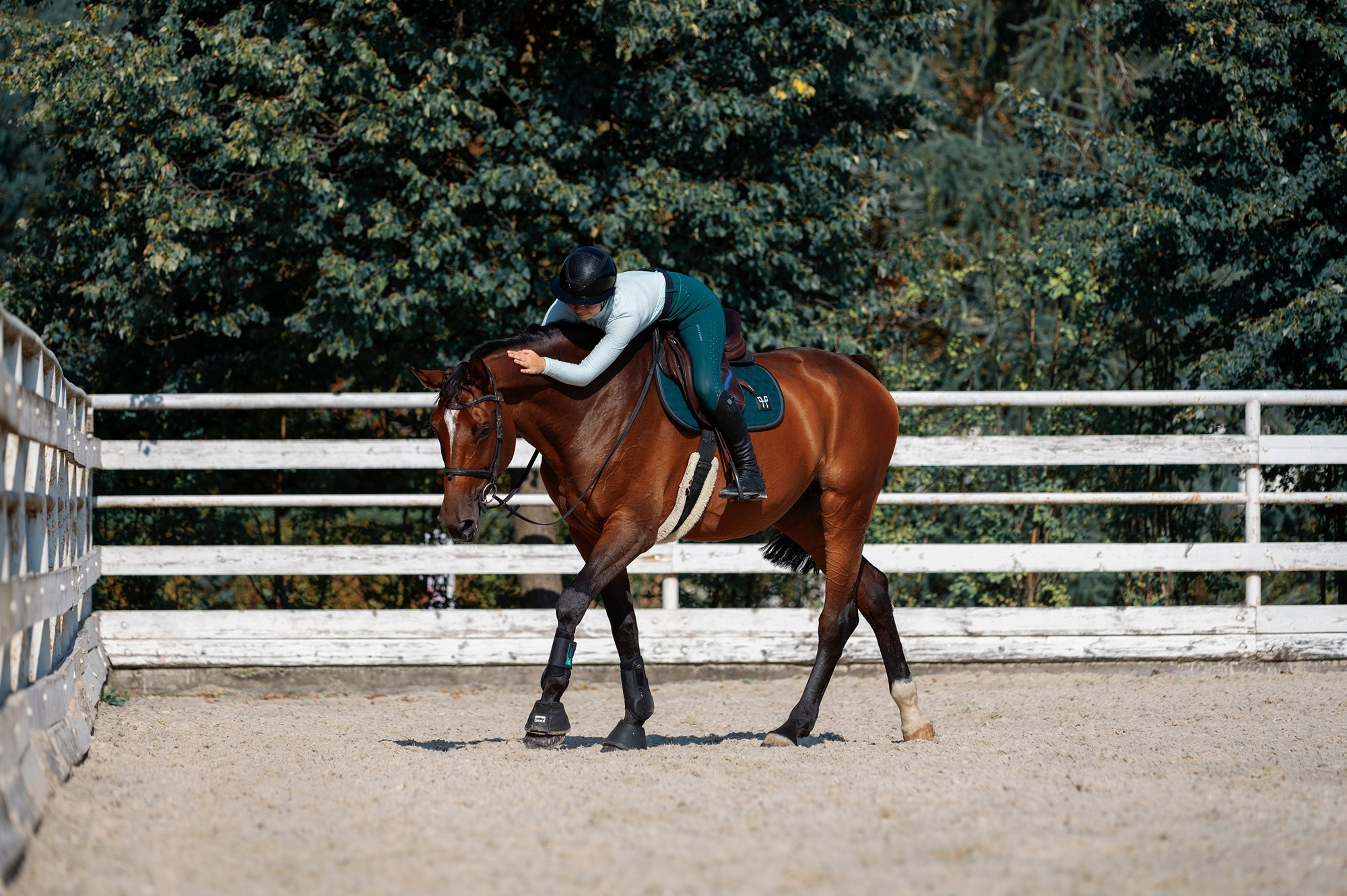 Частные съемки_фото. Конный фотограф Alesya Safe