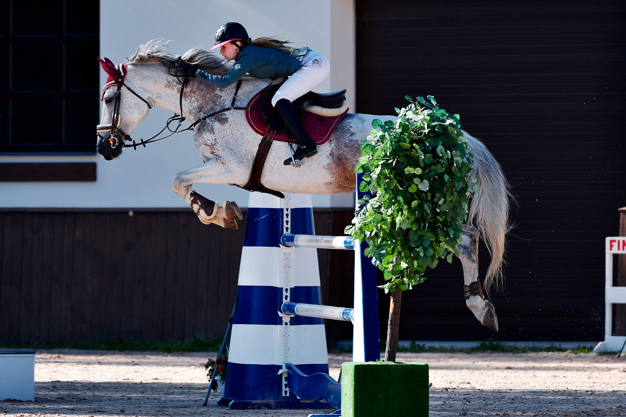 Конкур. Конный фотограф Alesya Safe