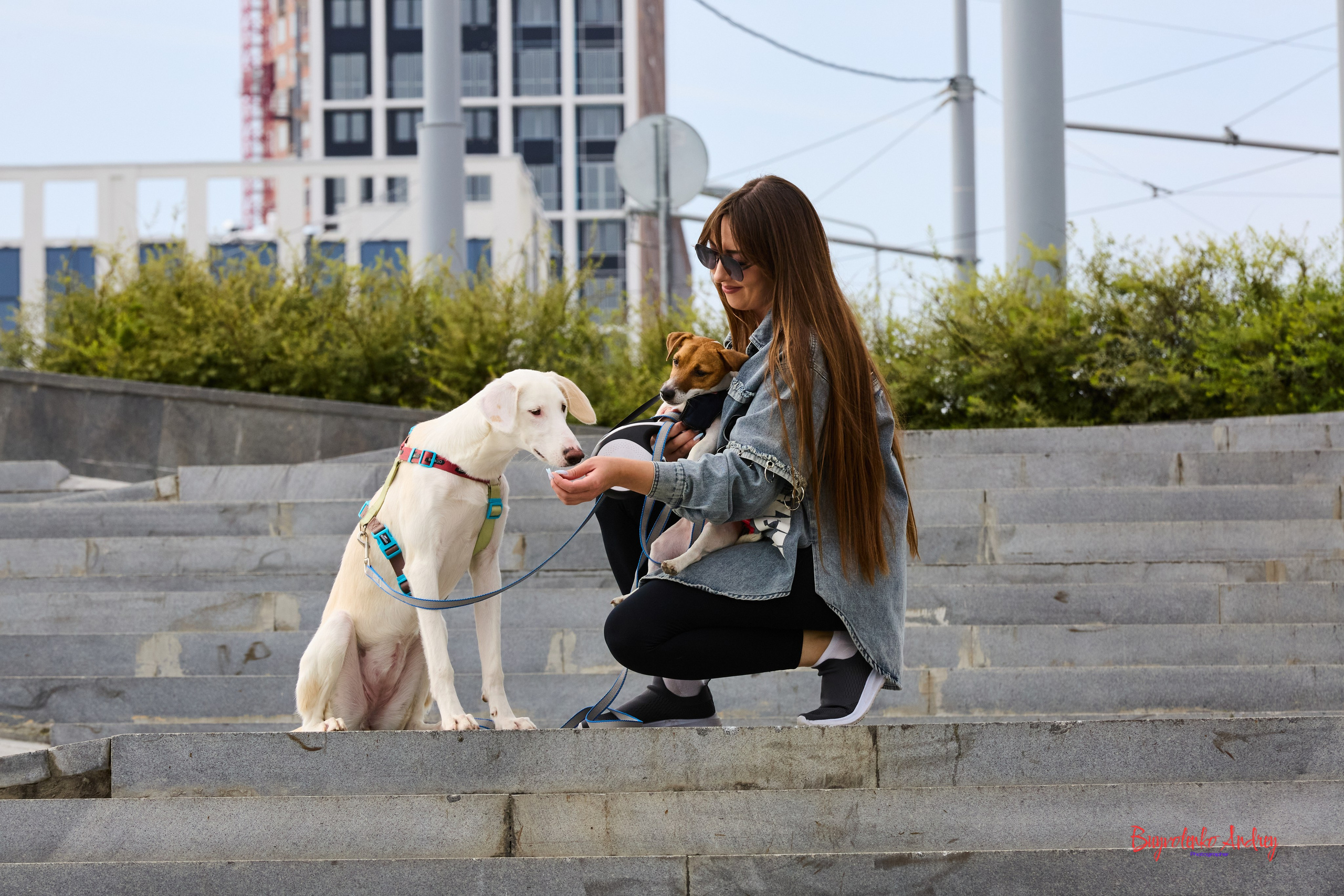 Проект фотопрогулка с хвостиком. Buyvolenko Andrey