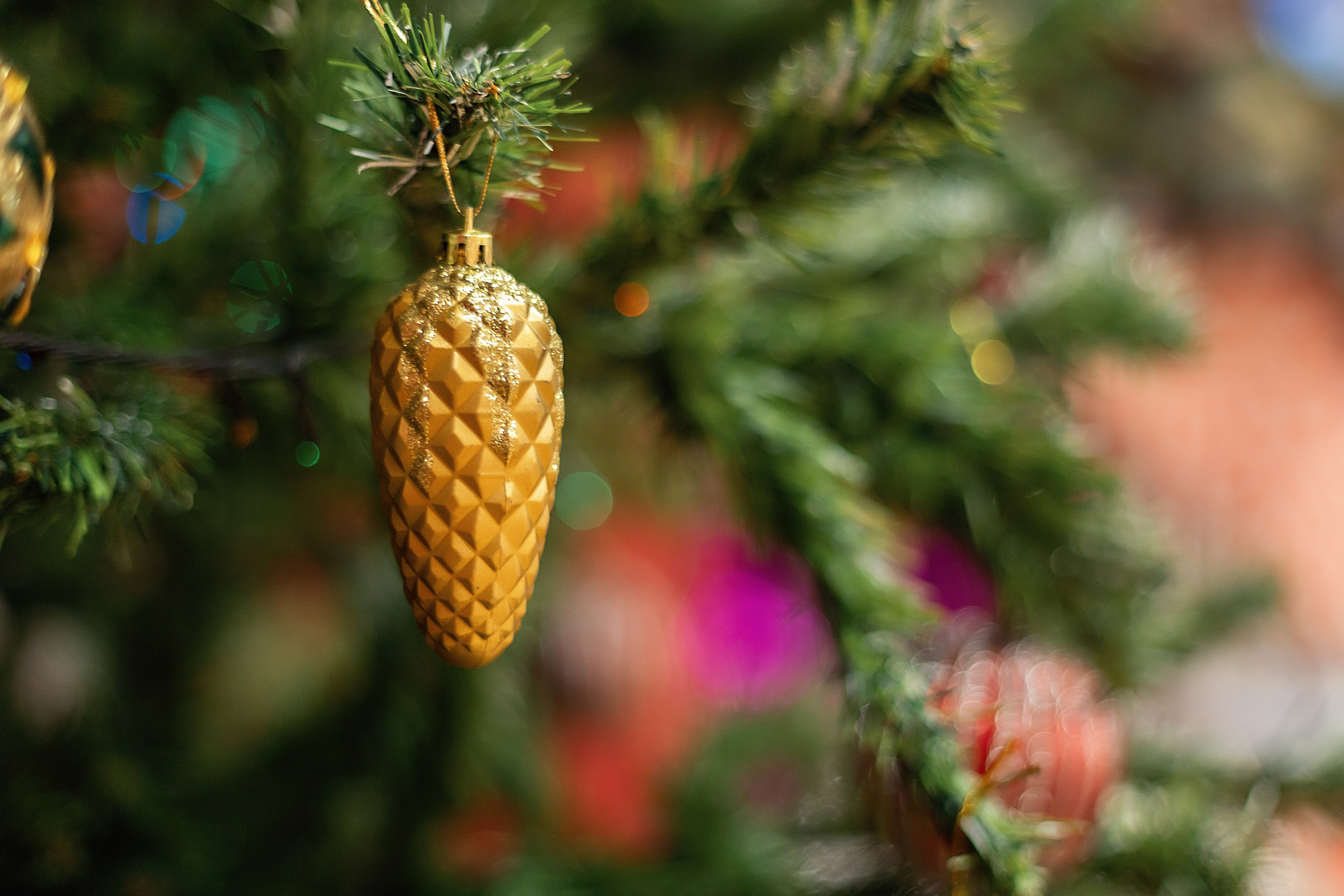 Утренник_"Карамельная фабрика» 2024. Семейный фотограф в Санкт-Петербурге