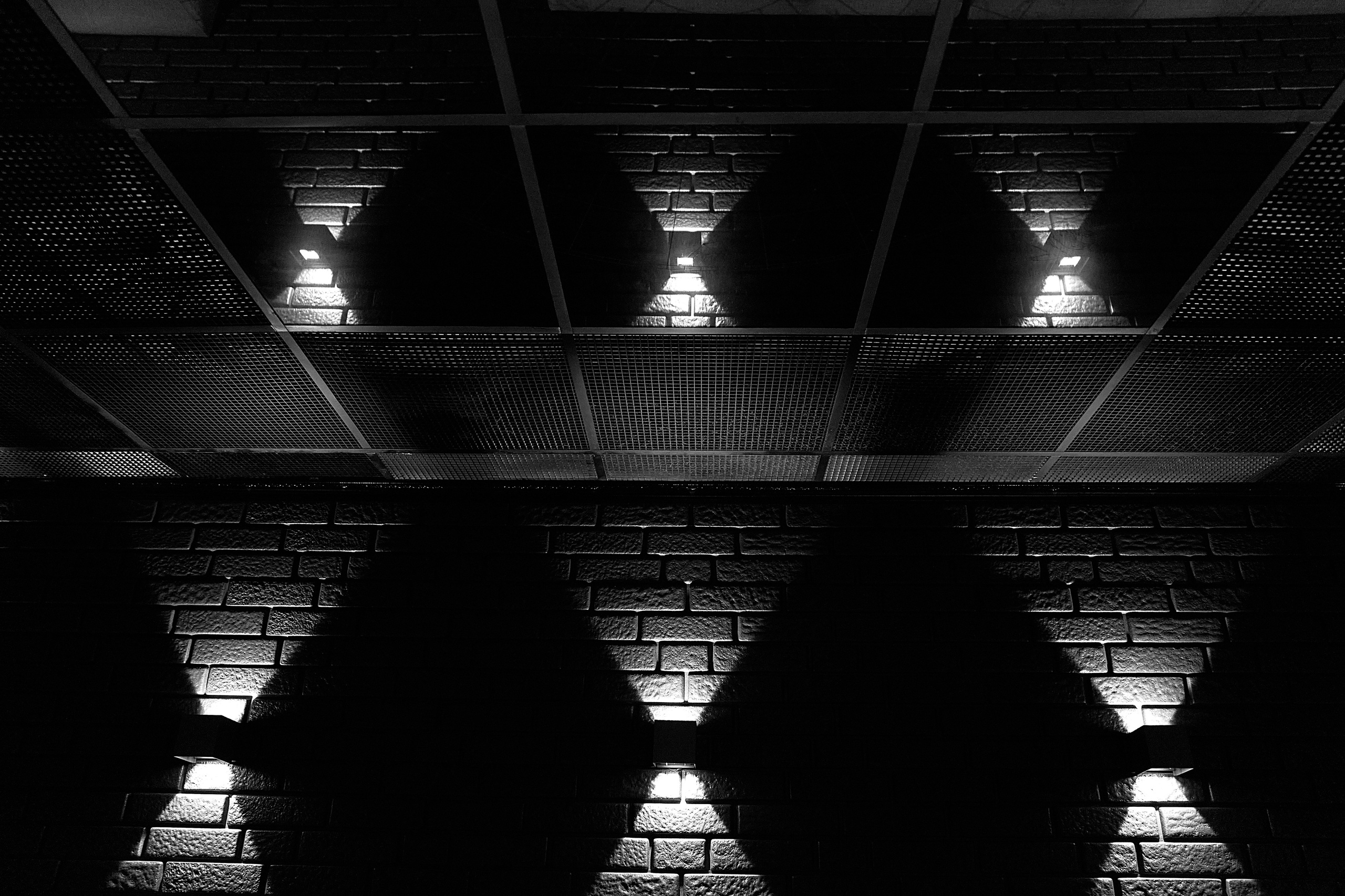 Звезда. Чумаков Алексей Фотограф|Видеограф свадебные, индивидуальные, семейные, репортаж