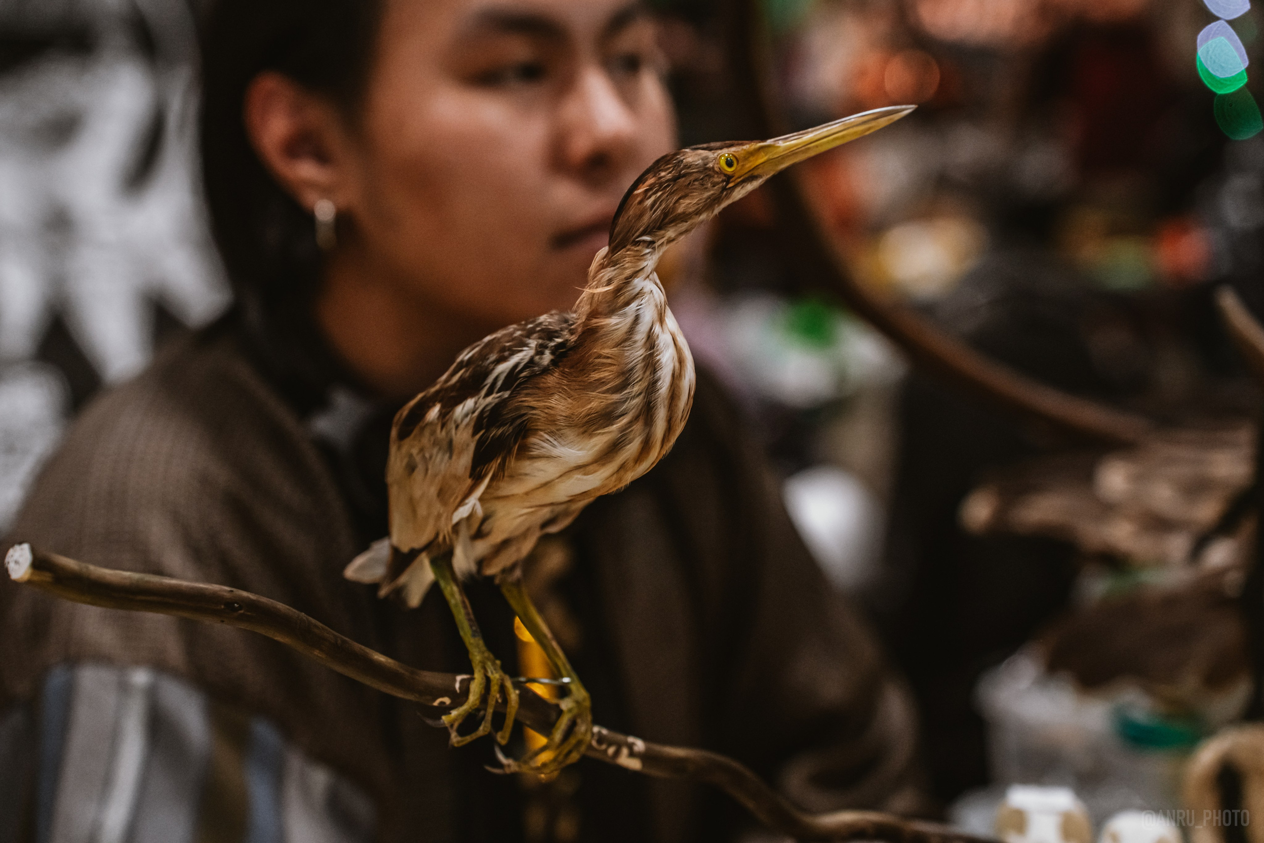 Рептилиум (ручная работа). Репортажный фотограф Анастасия Рубцова