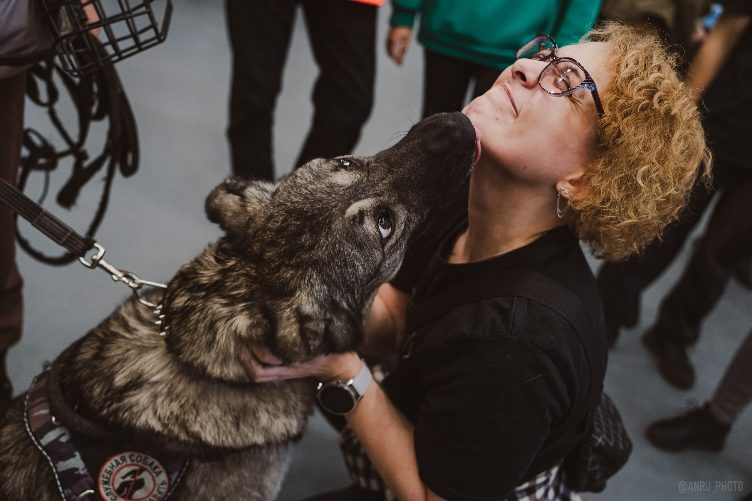 Fox Family fest. Репортажный фотограф Анастасия Рубцова