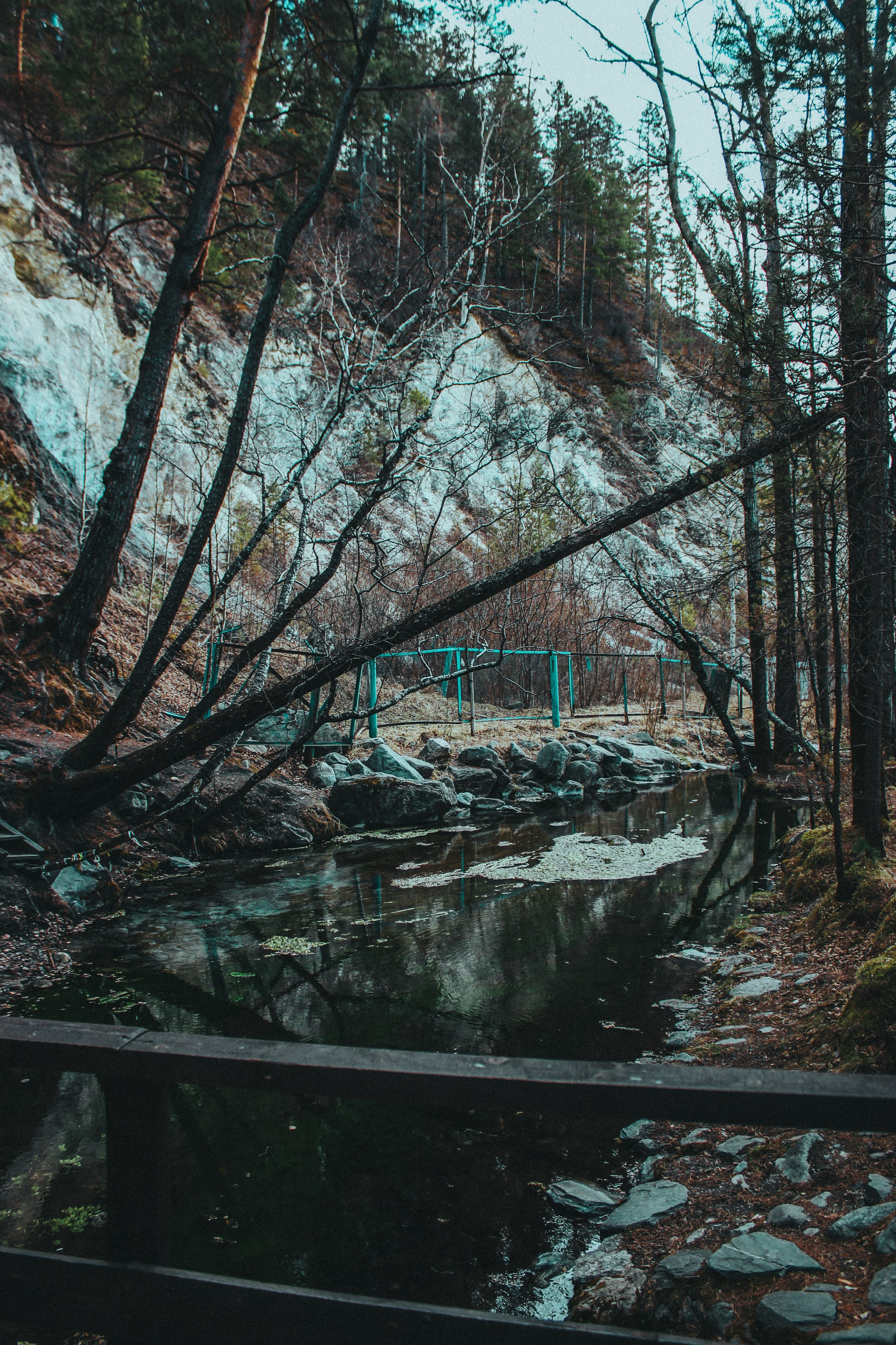 ARSHAN | SAYANY. Главная