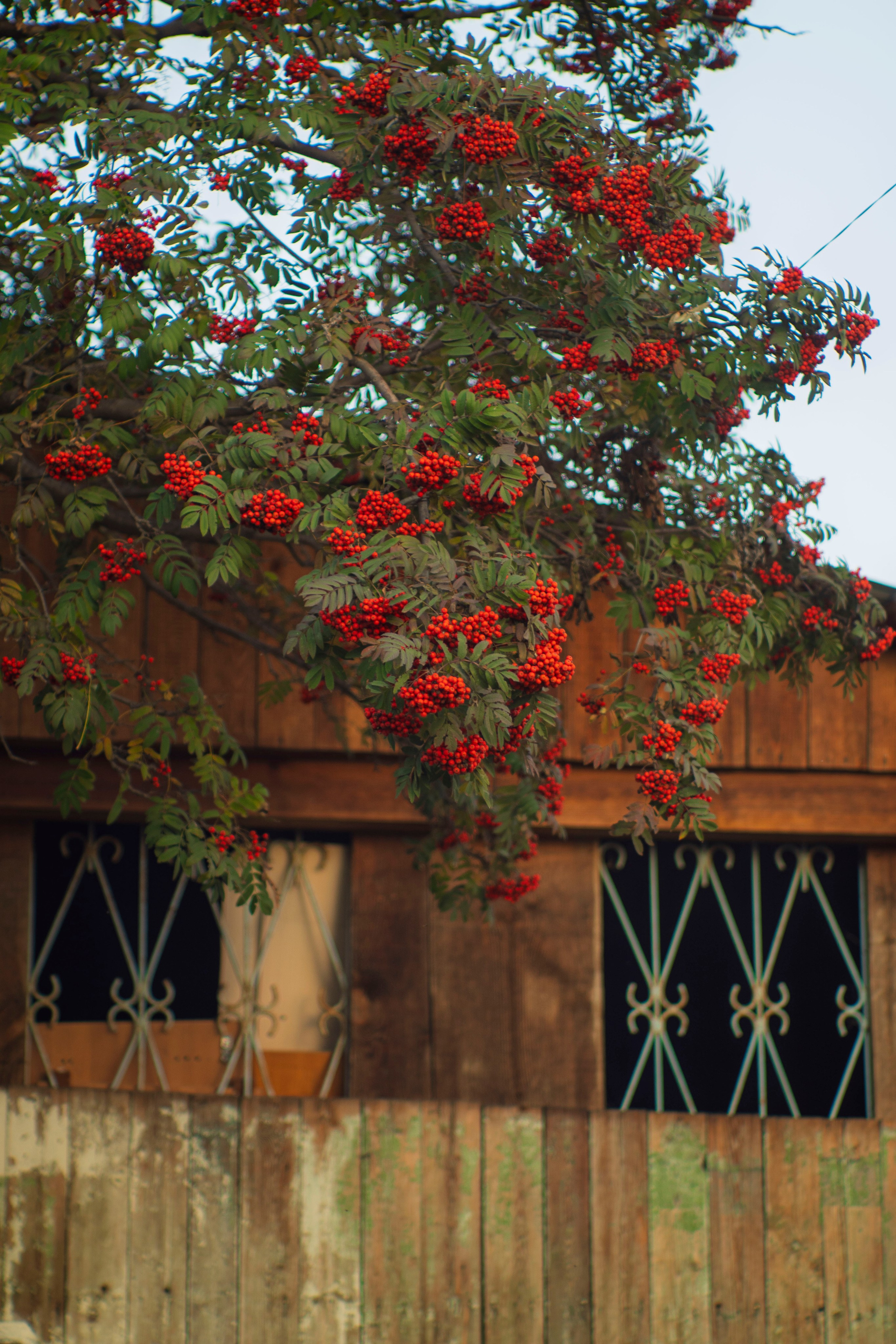 Миасс 24 — 25г. Главная