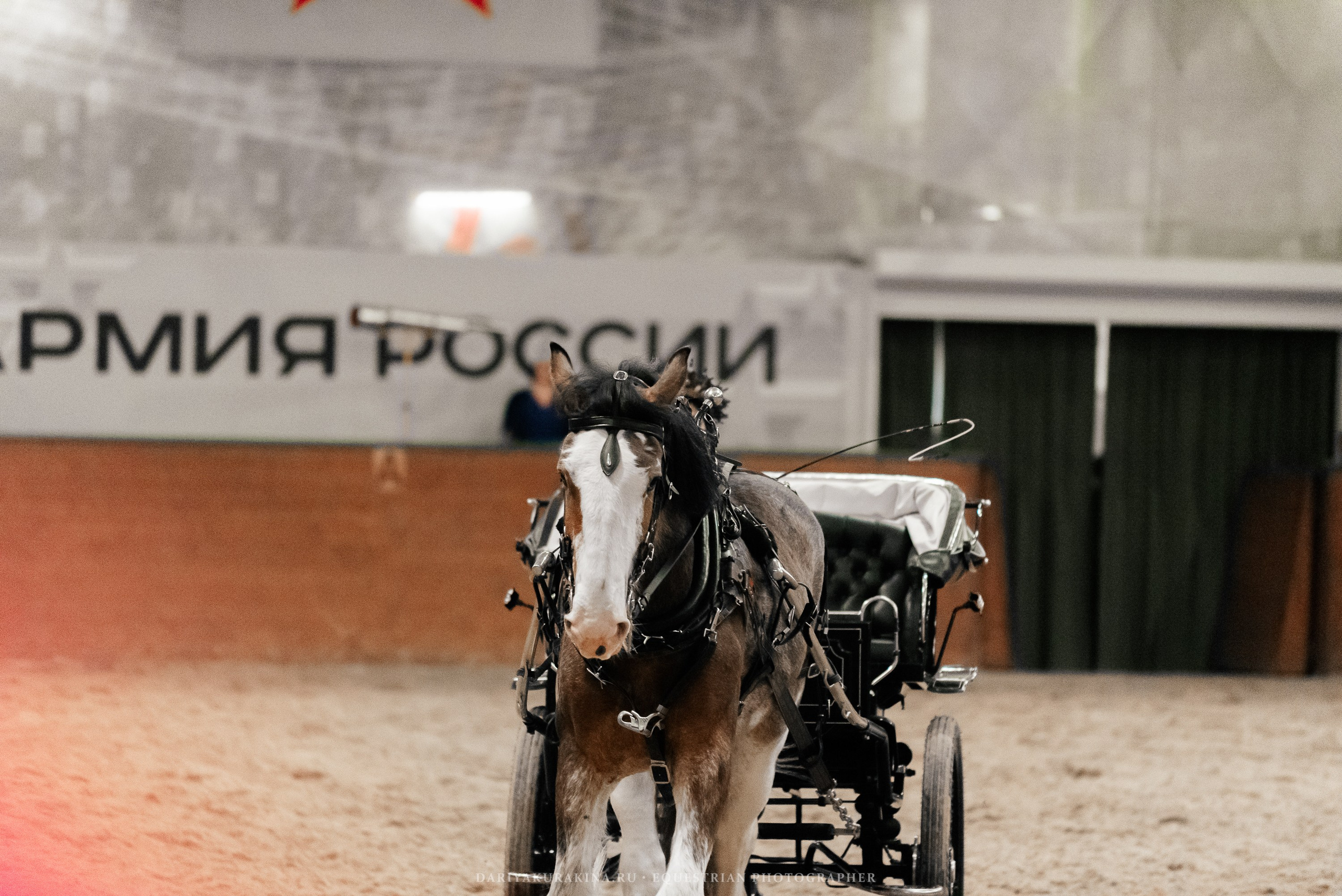 Конное представление «Дыхание Звёзд». Конный фотограф Куракина Дарья • Фотосессии с лошадьми