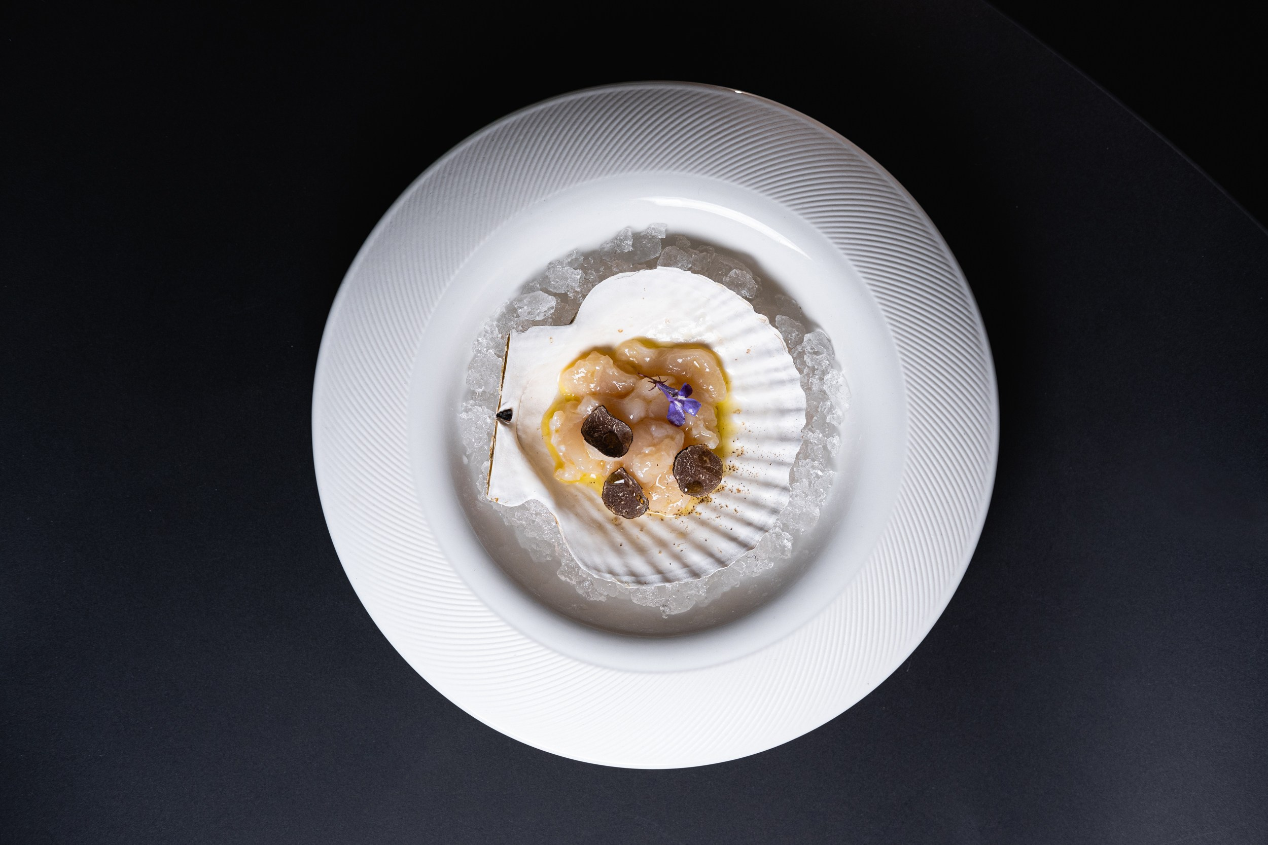 The Atelier. Главная