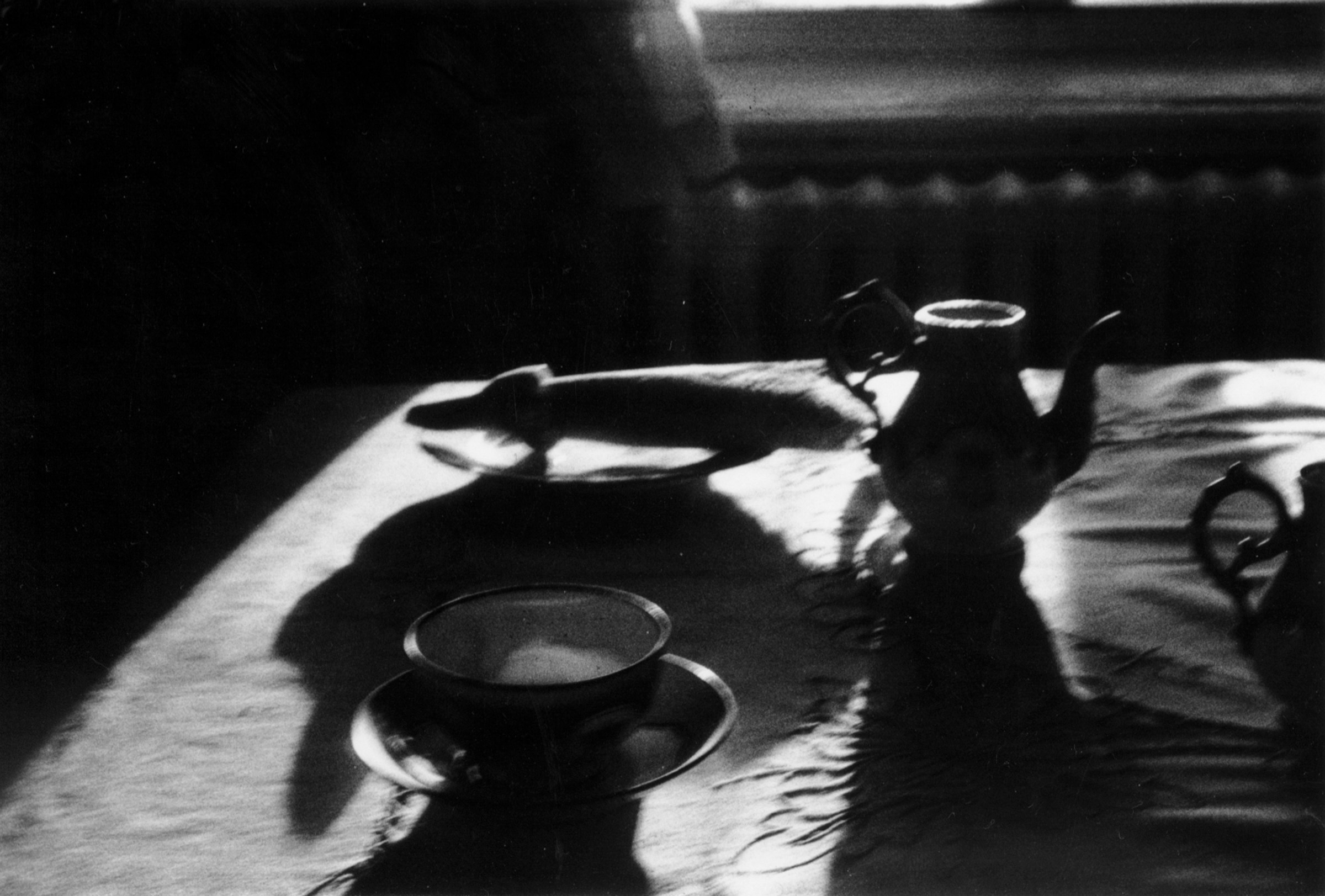 Meanwhile. Елена Цихон художник фотографии и мастер фото-ДНК