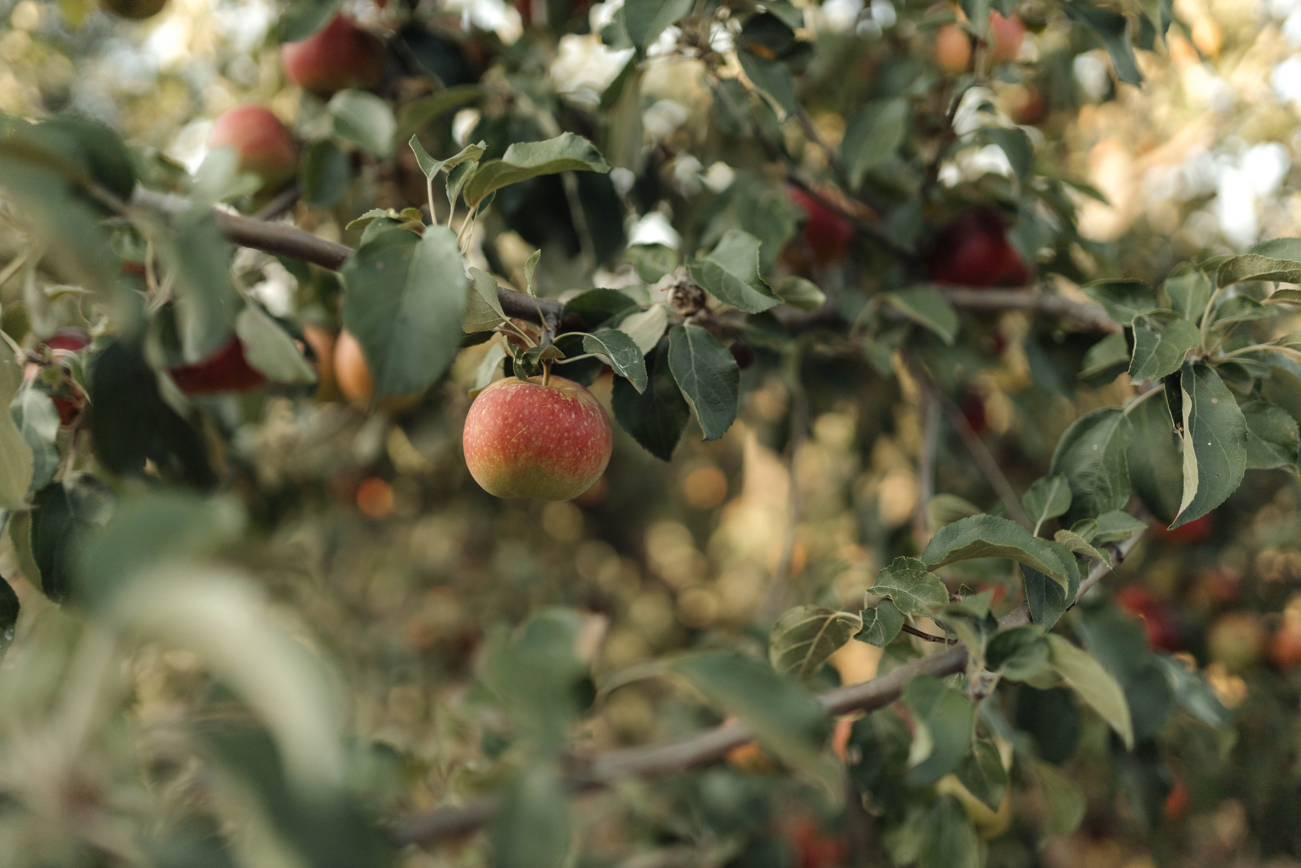 Когда мы с сестрой были маленькими…
