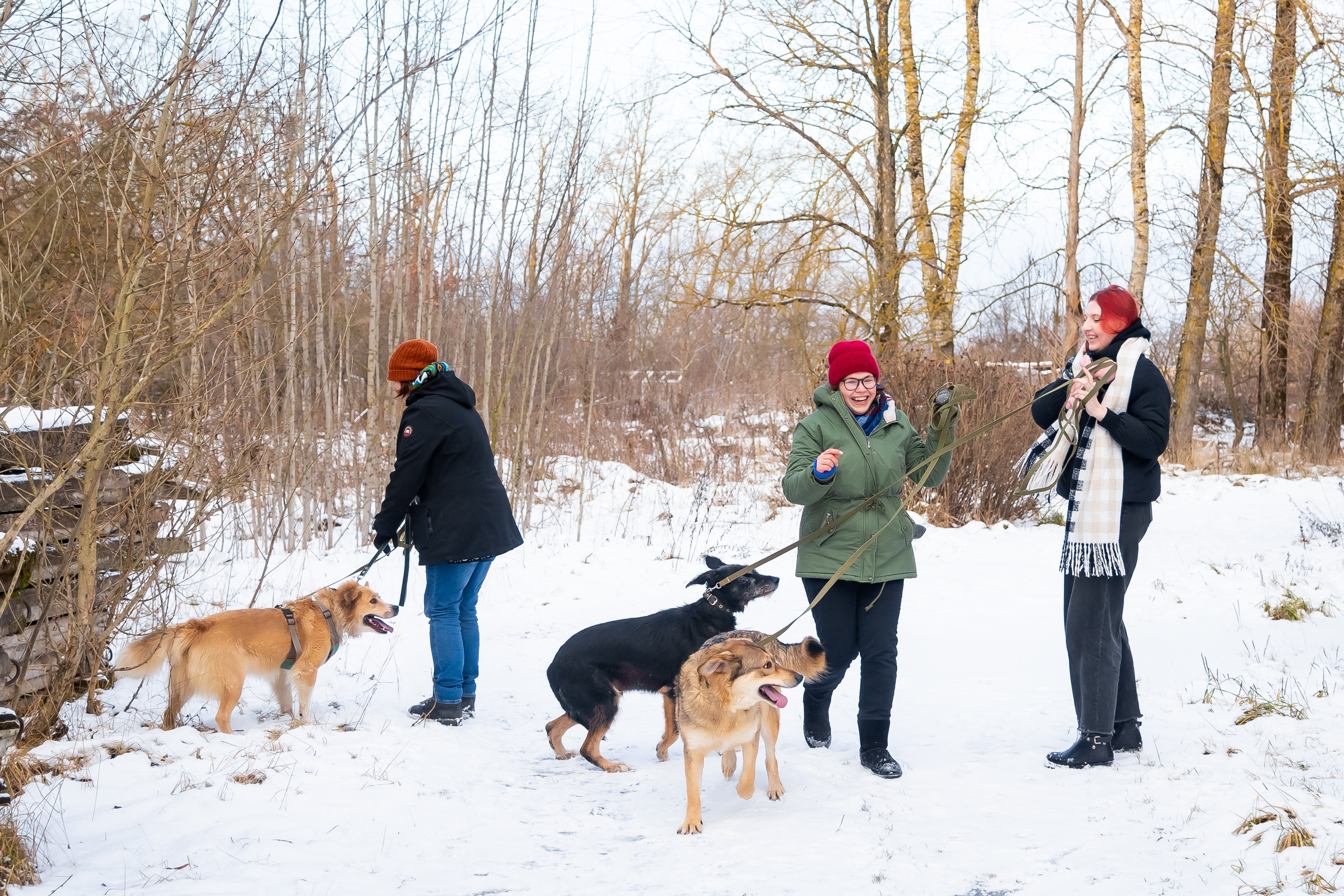 Petshop Забота. Фотограф в Санкт-Петербурге Чумаков Семен