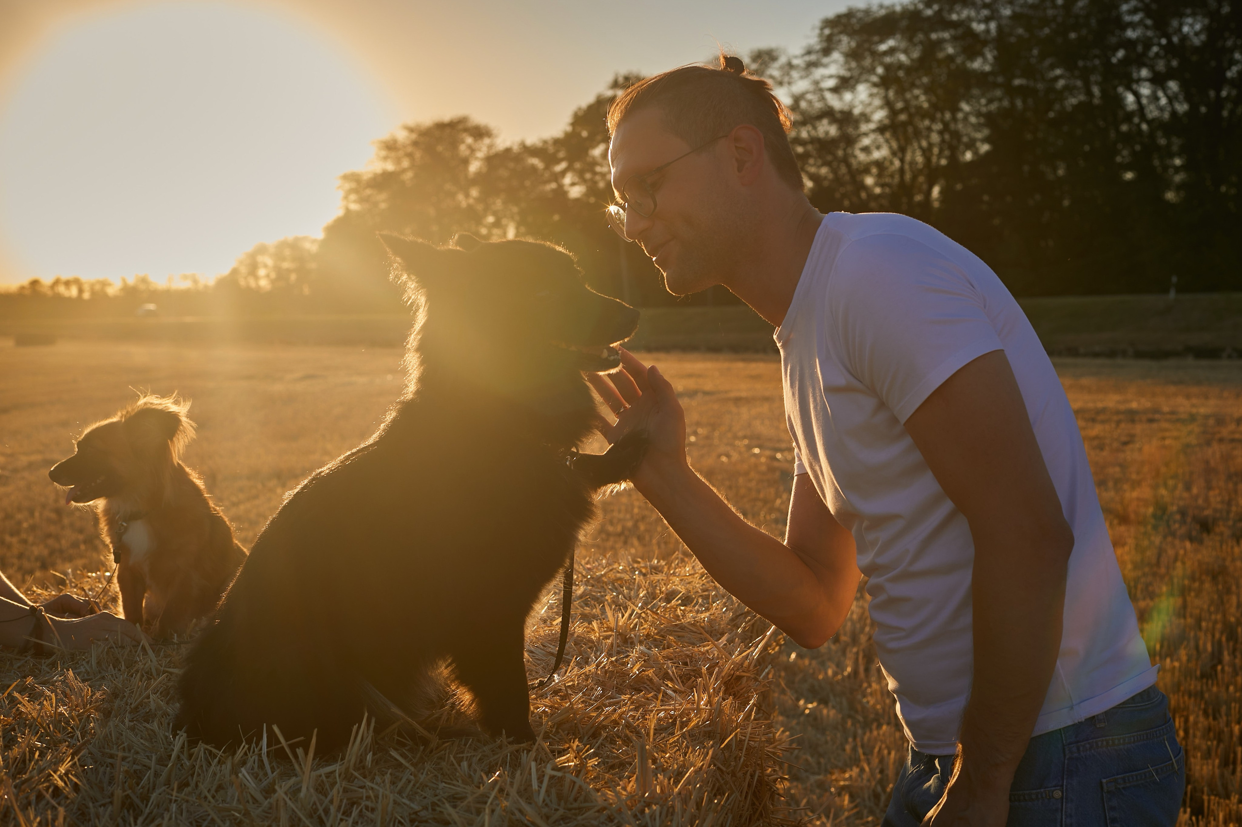 «Семья с лапками». Свадебный и креативный фотограф в ЮФО и МСК